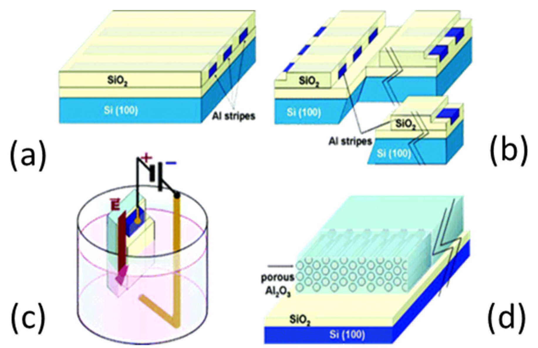 Nanomaterials 13 00260 g007
