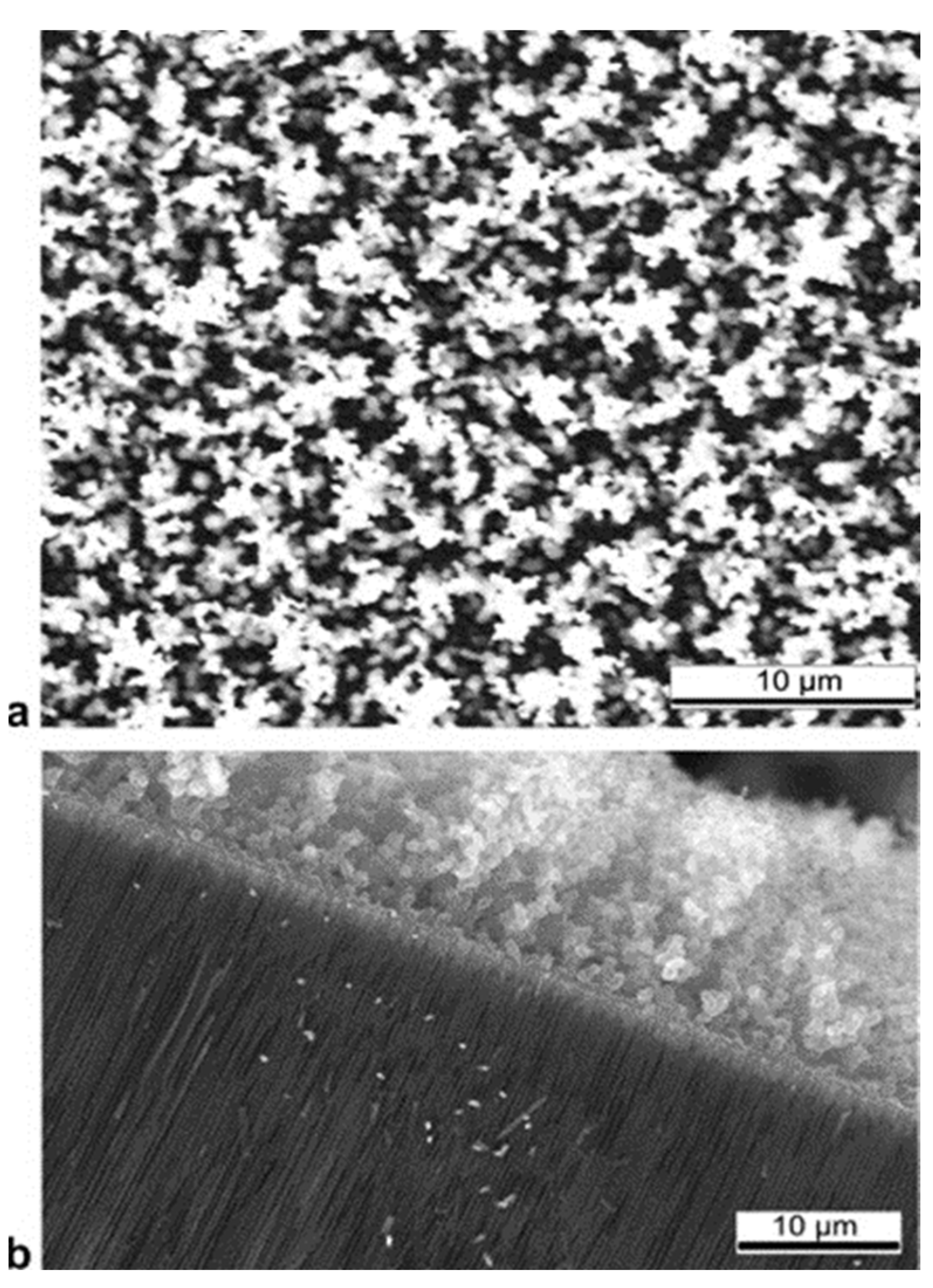 Nanomaterials 13 00260 g012