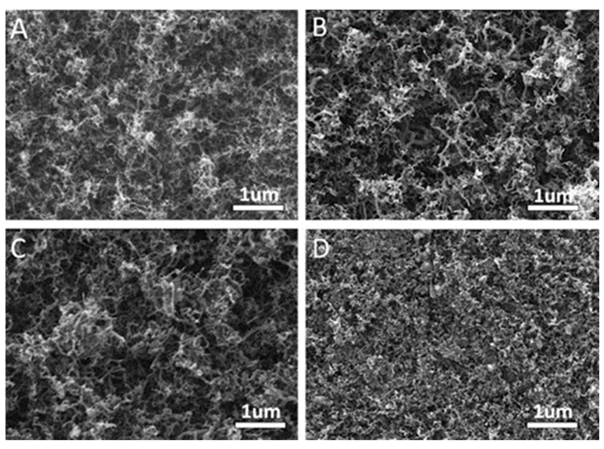 Nanomaterials 13 00260 g013