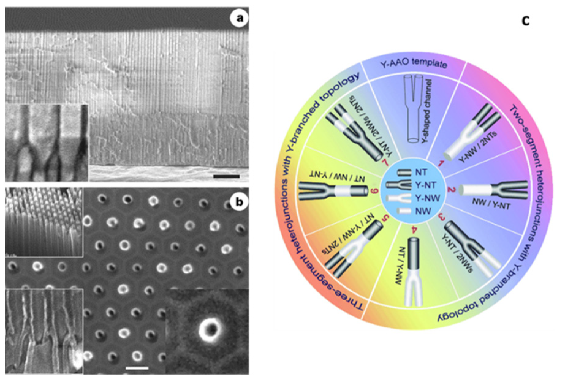 Nanomaterials 13 00260 g016