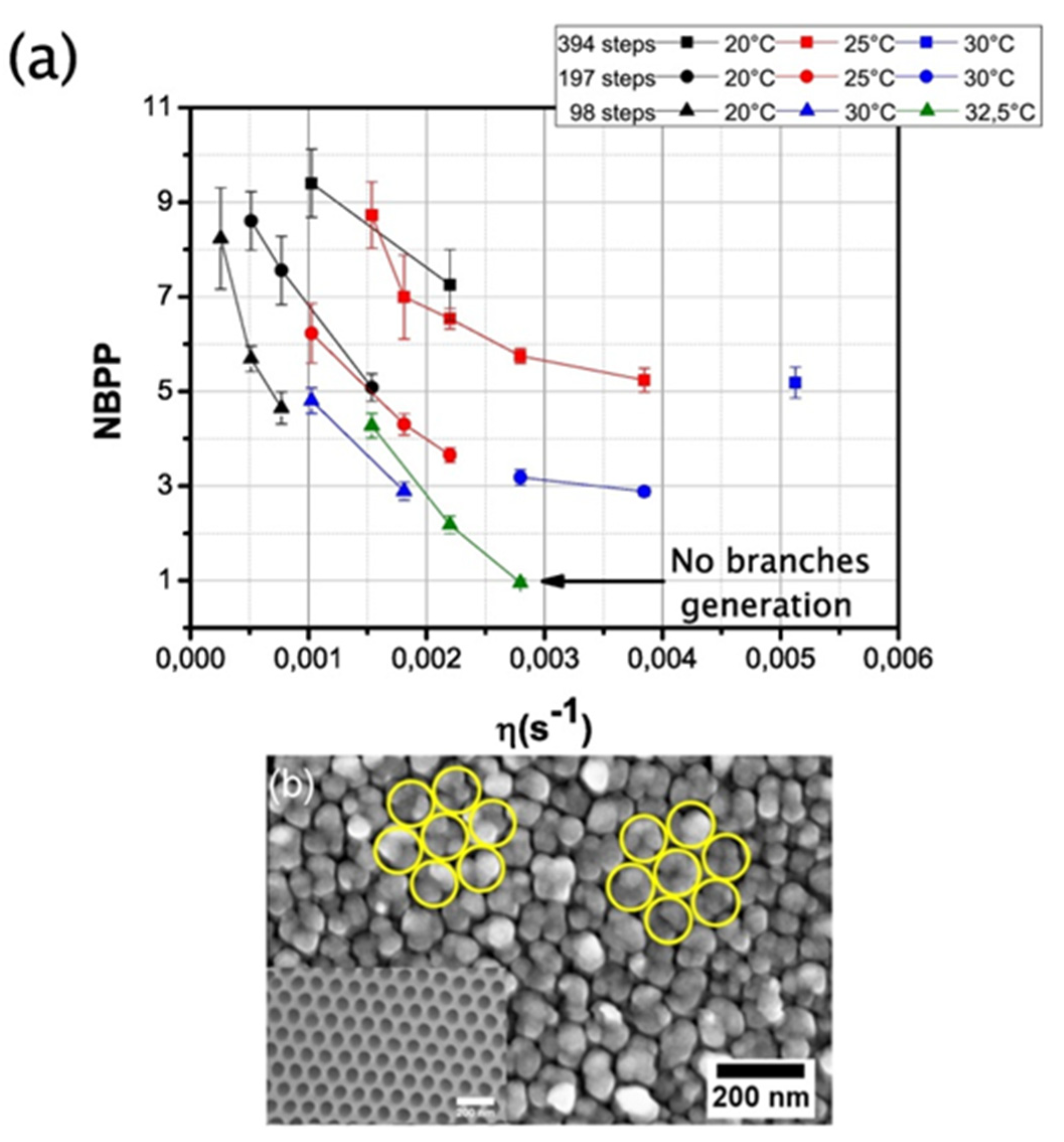 Nanomaterials 13 00260 g017