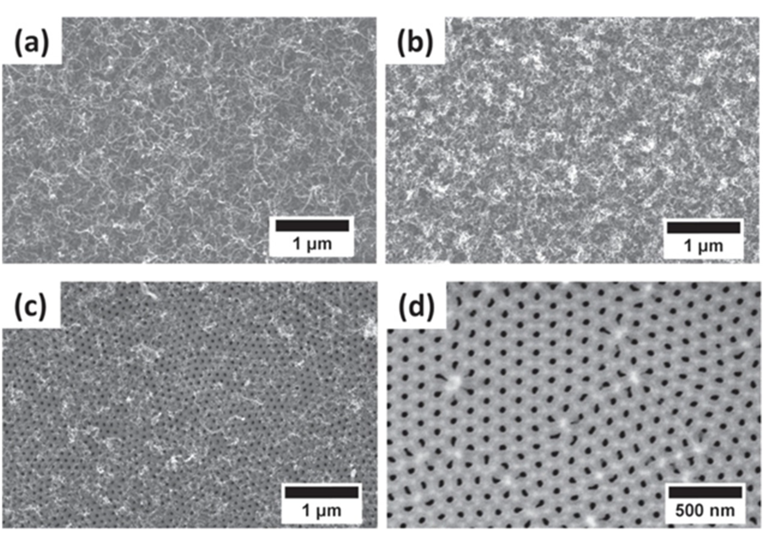 Nanomaterials 13 00260 g018