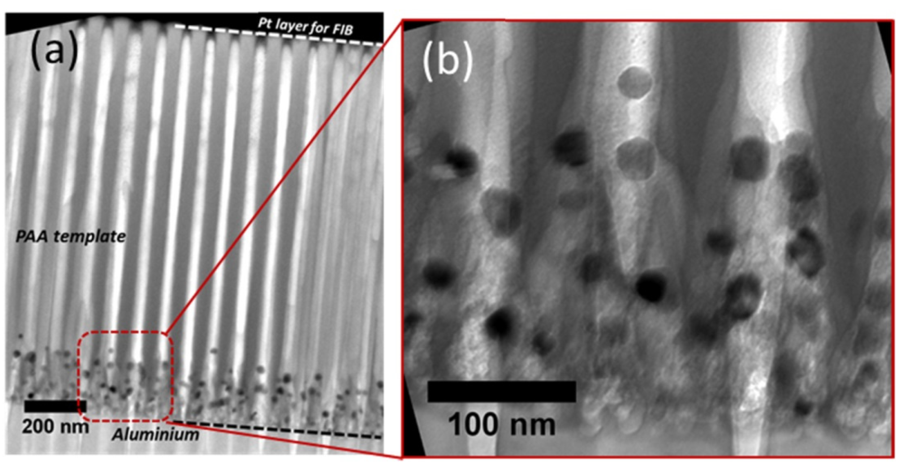 Nanomaterials 13 00260 g019