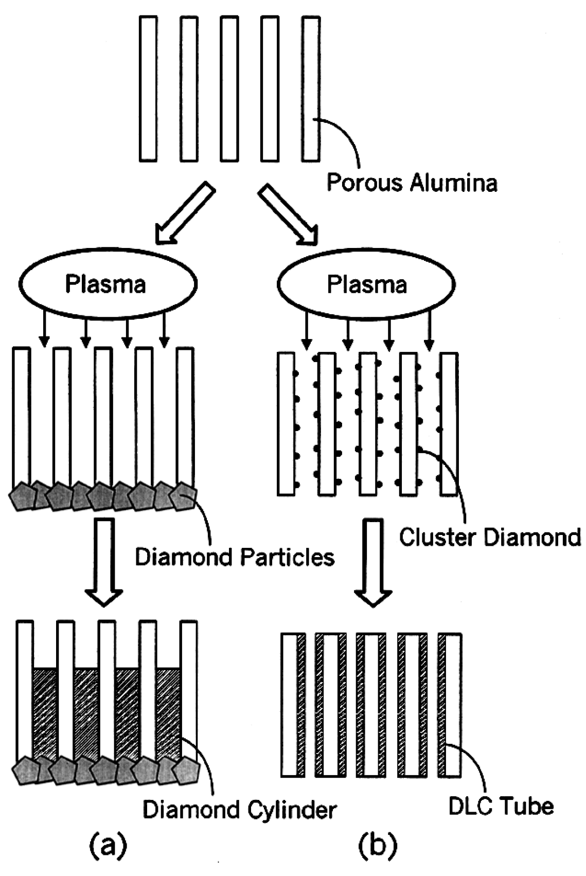 Nanomaterials 13 00260 g022