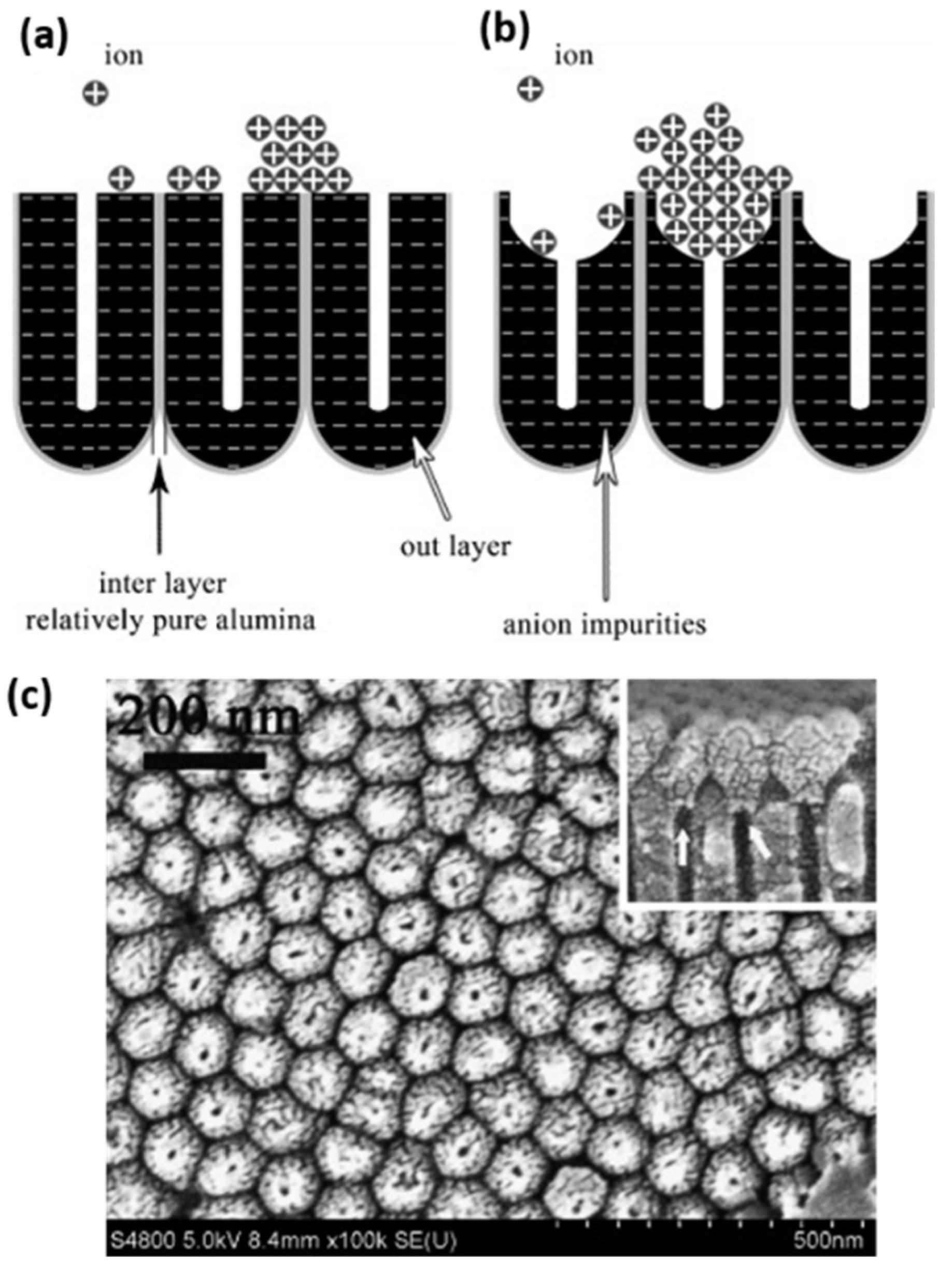 Nanomaterials 13 00260 g028