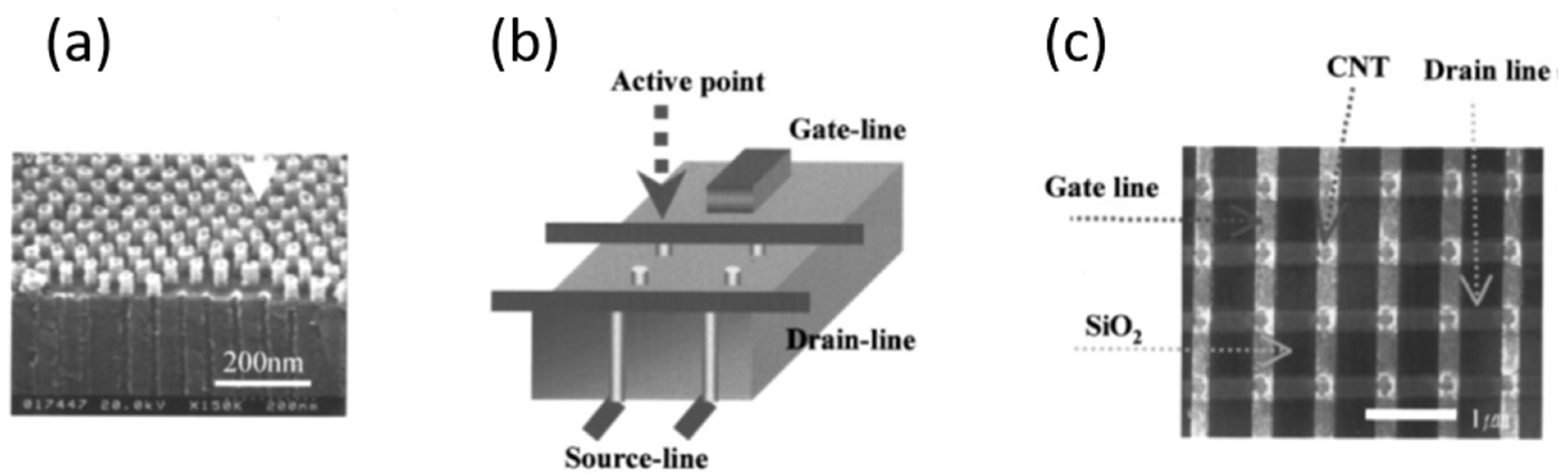 Nanomaterials 13 00260 g030