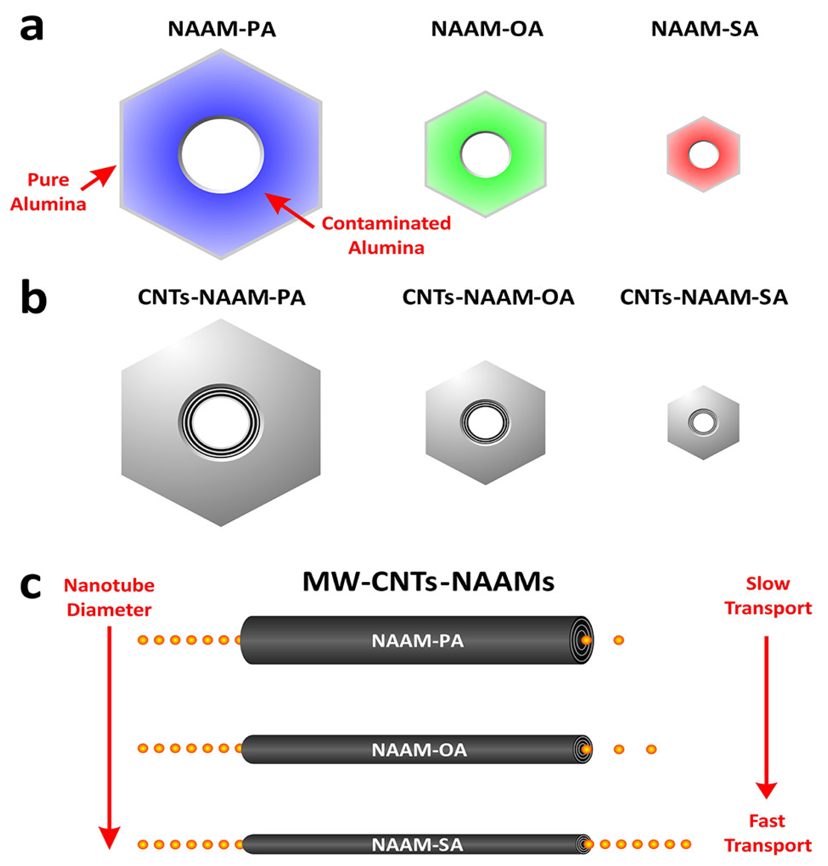 Nanomaterials 13 00260 g034