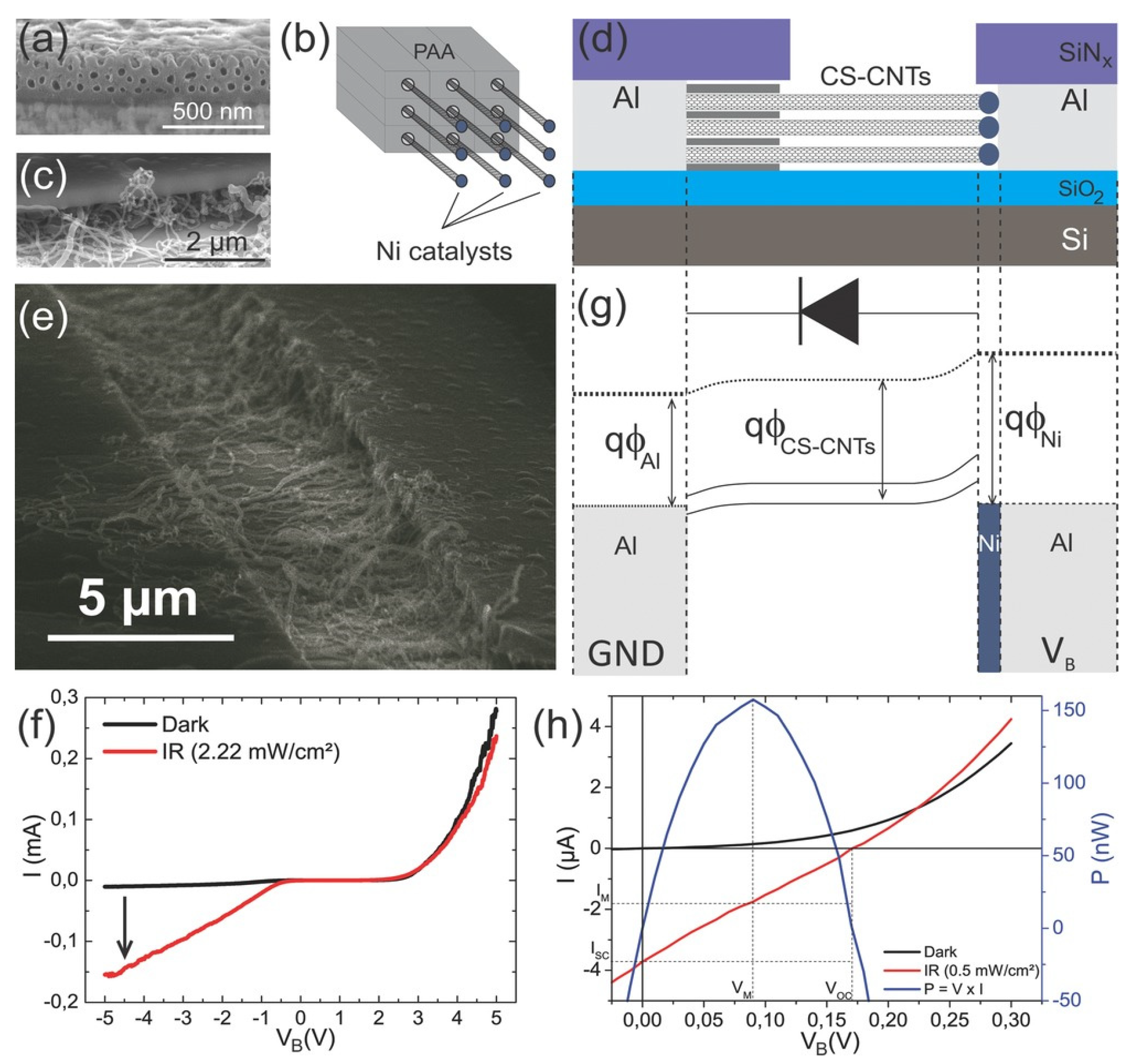 Nanomaterials 13 00260 g035