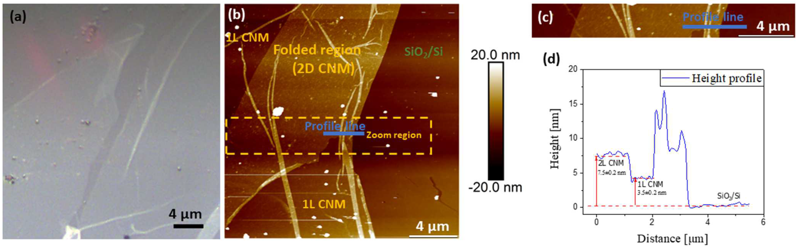 Nanomaterials 13 00267 g002