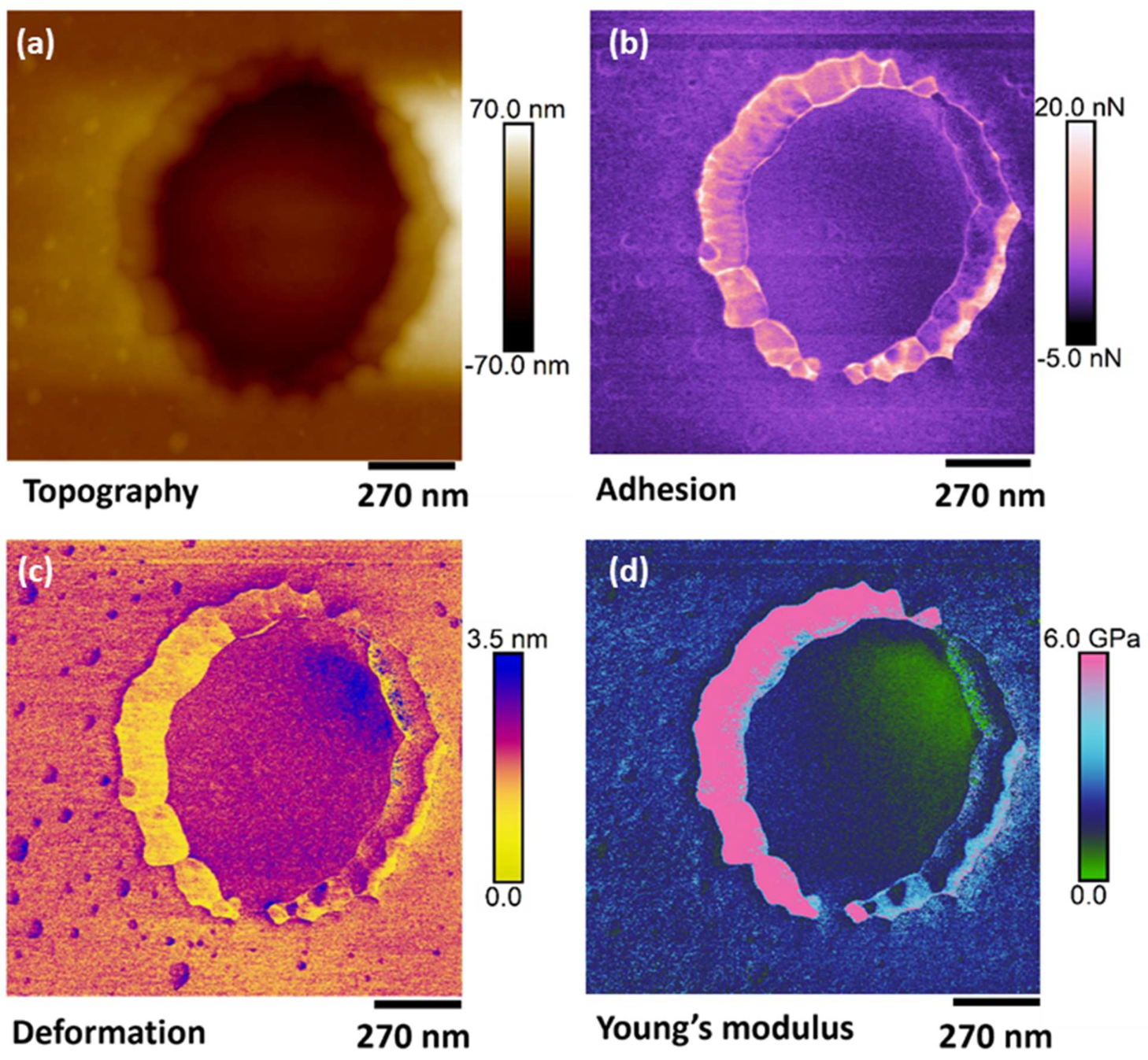 Nanomaterials 13 00267 g005