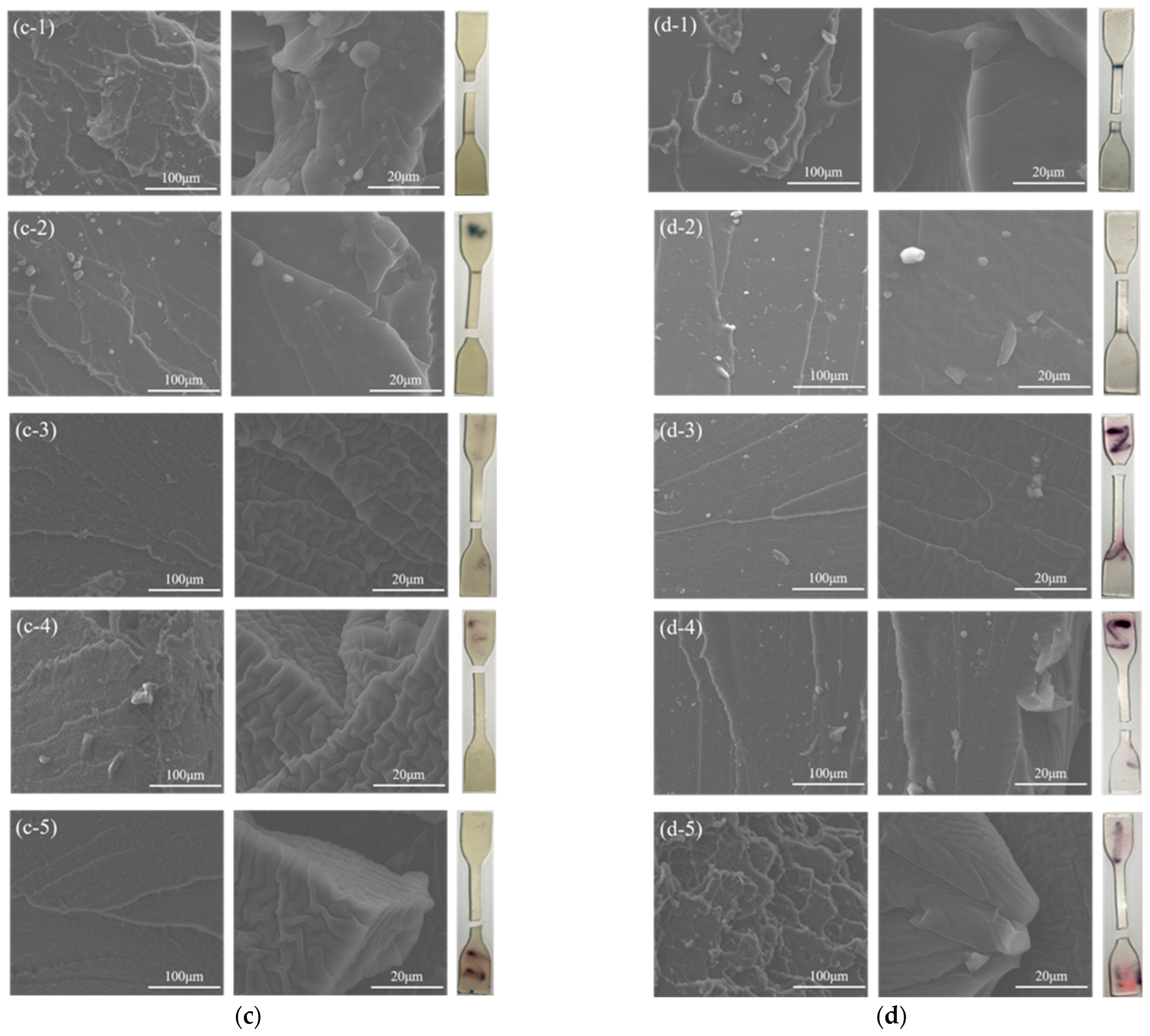 Nanomaterials 13 00268 g013b Nanomaterials 13 00268 g013b