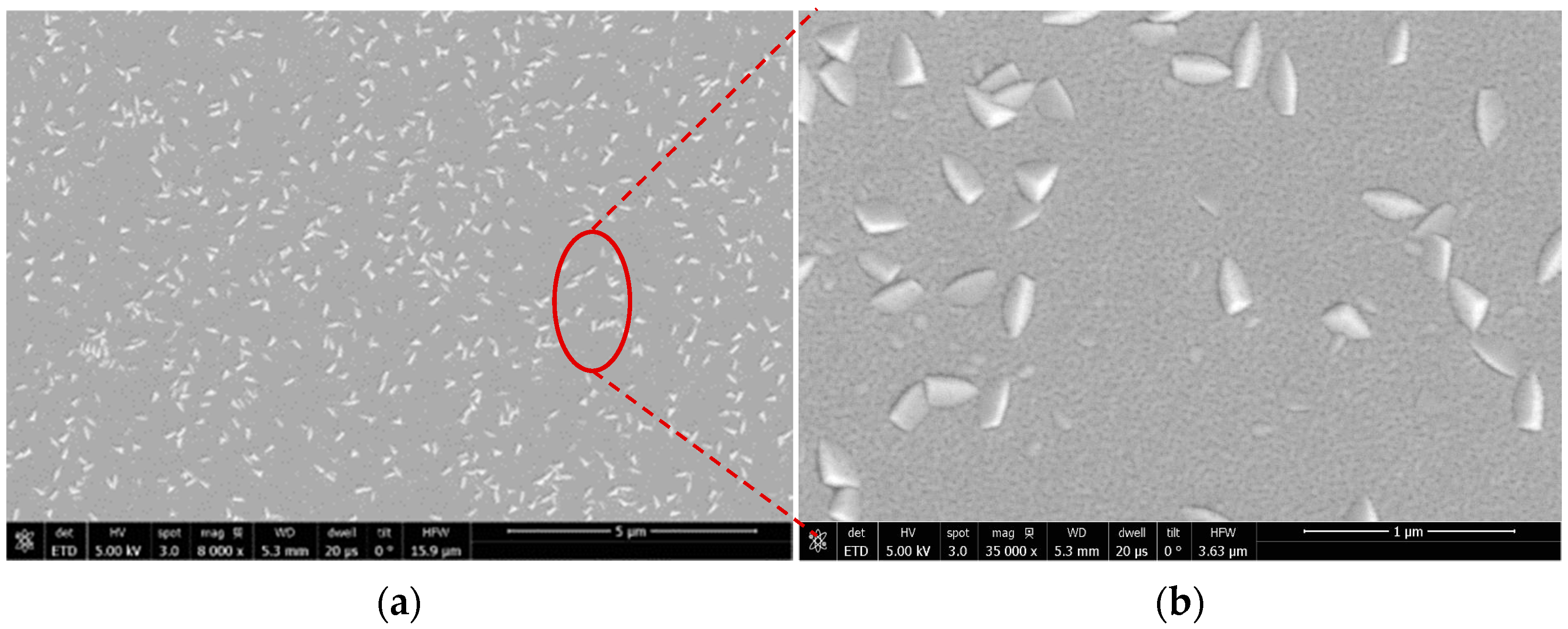 Nanomaterials 13 00274 g001