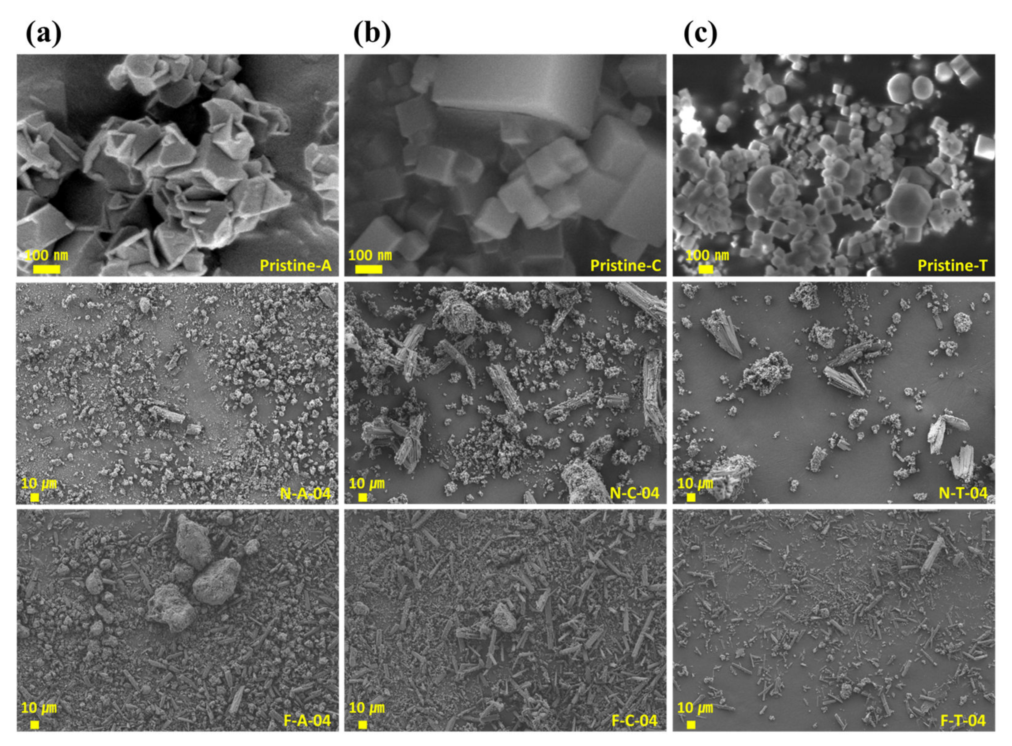 Nanomaterials 13 00281 g002