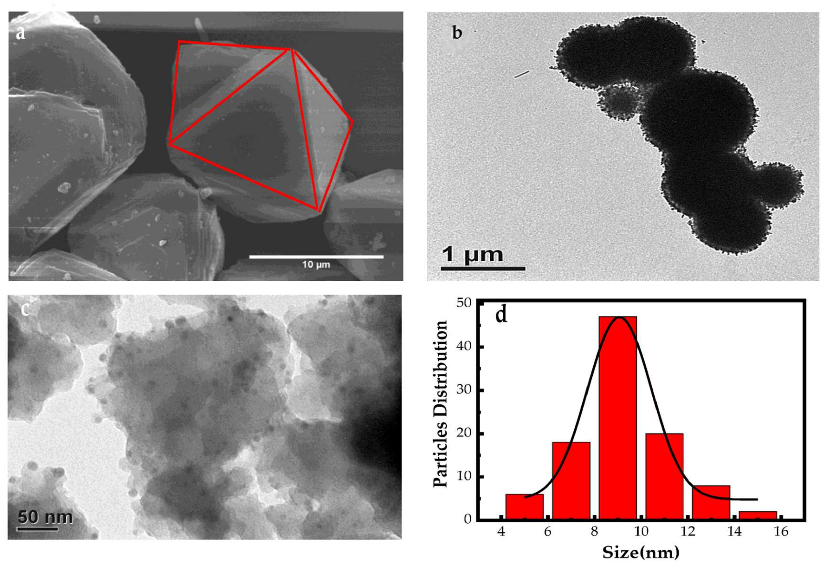 Nanomaterials 13 00282 g001 Nanomaterials 13 00282 g001