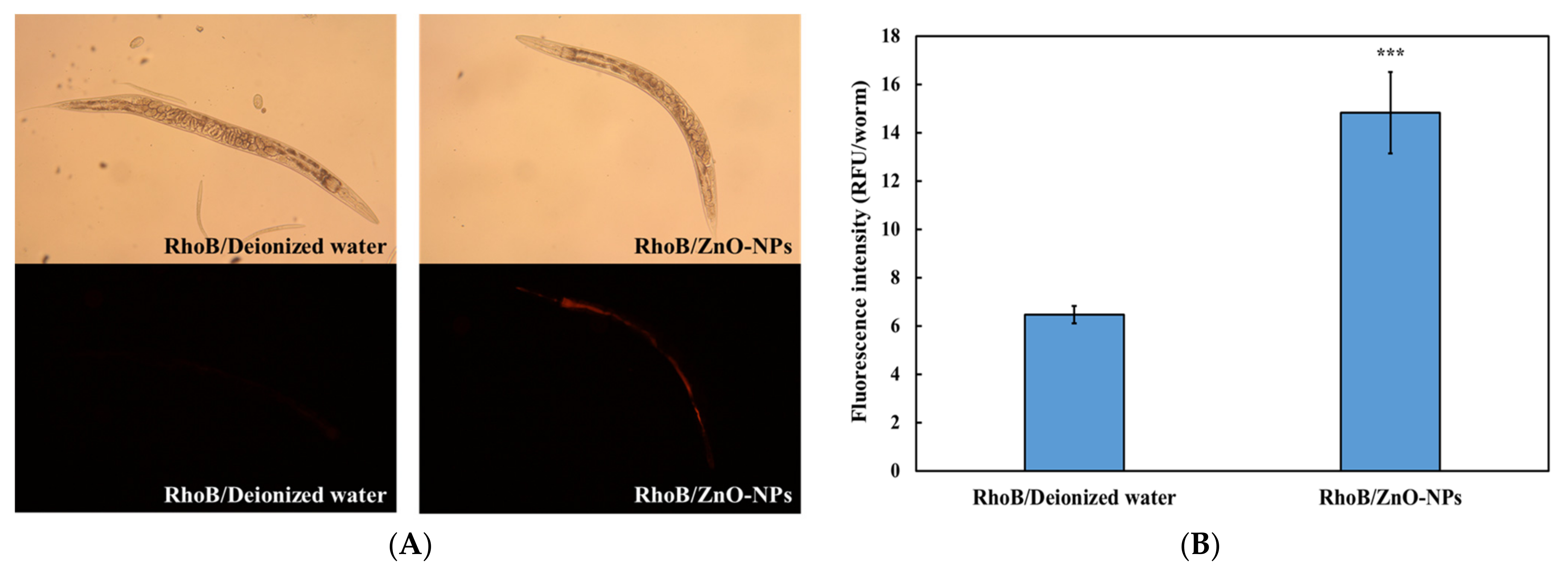 Nanomaterials 13 00289 g003