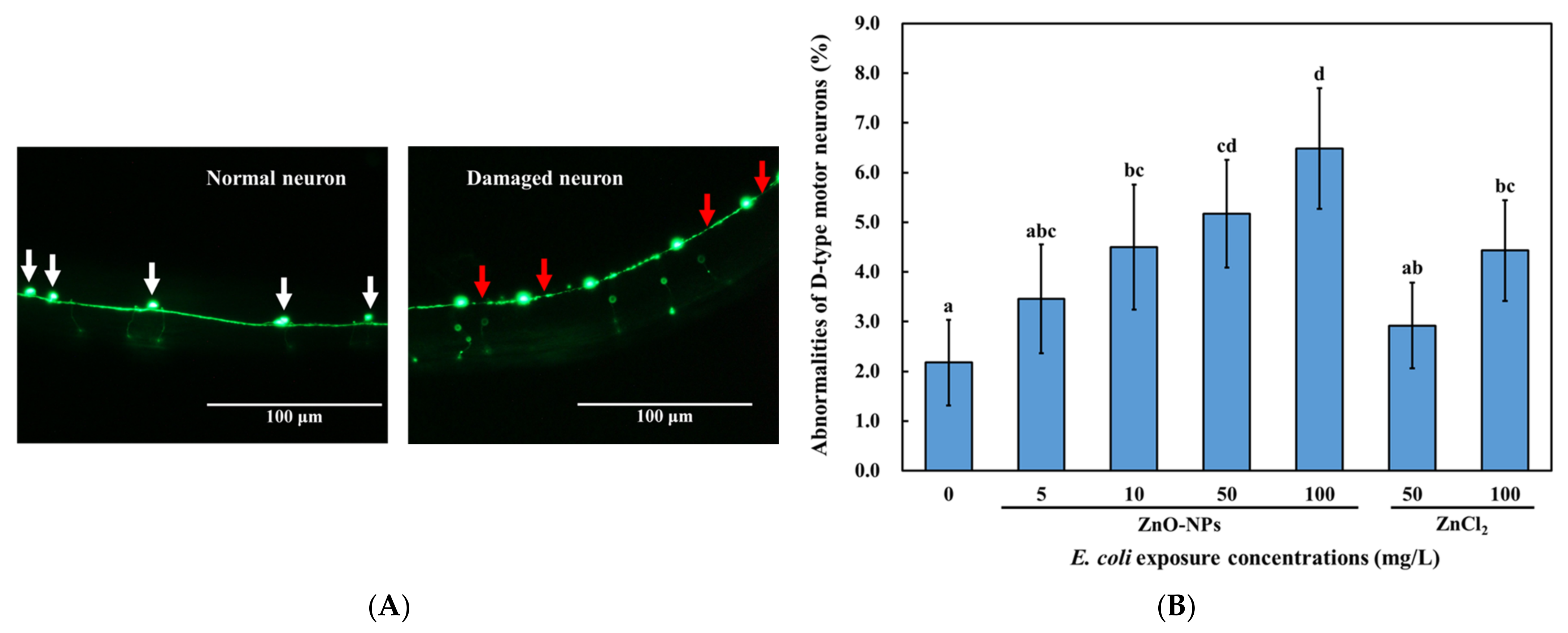 Nanomaterials 13 00289 g005