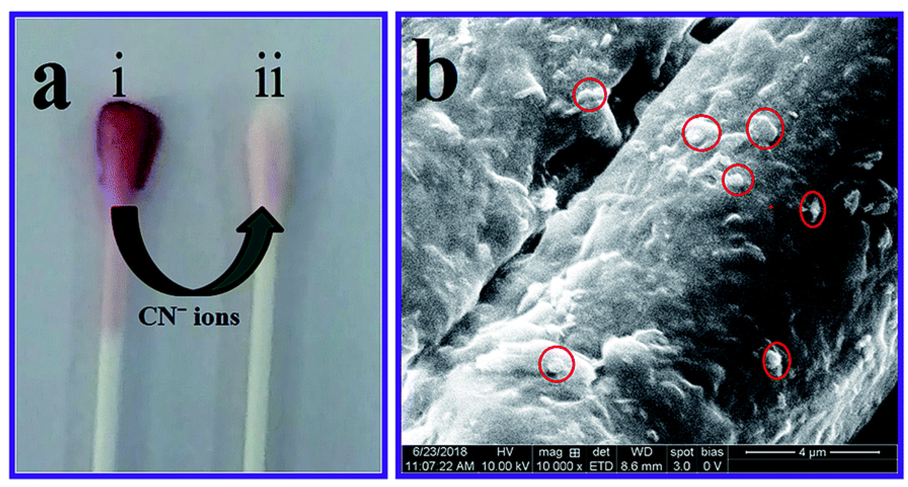 Nanomaterials 13 00290 g002 Nanomaterials 13 00290 g002