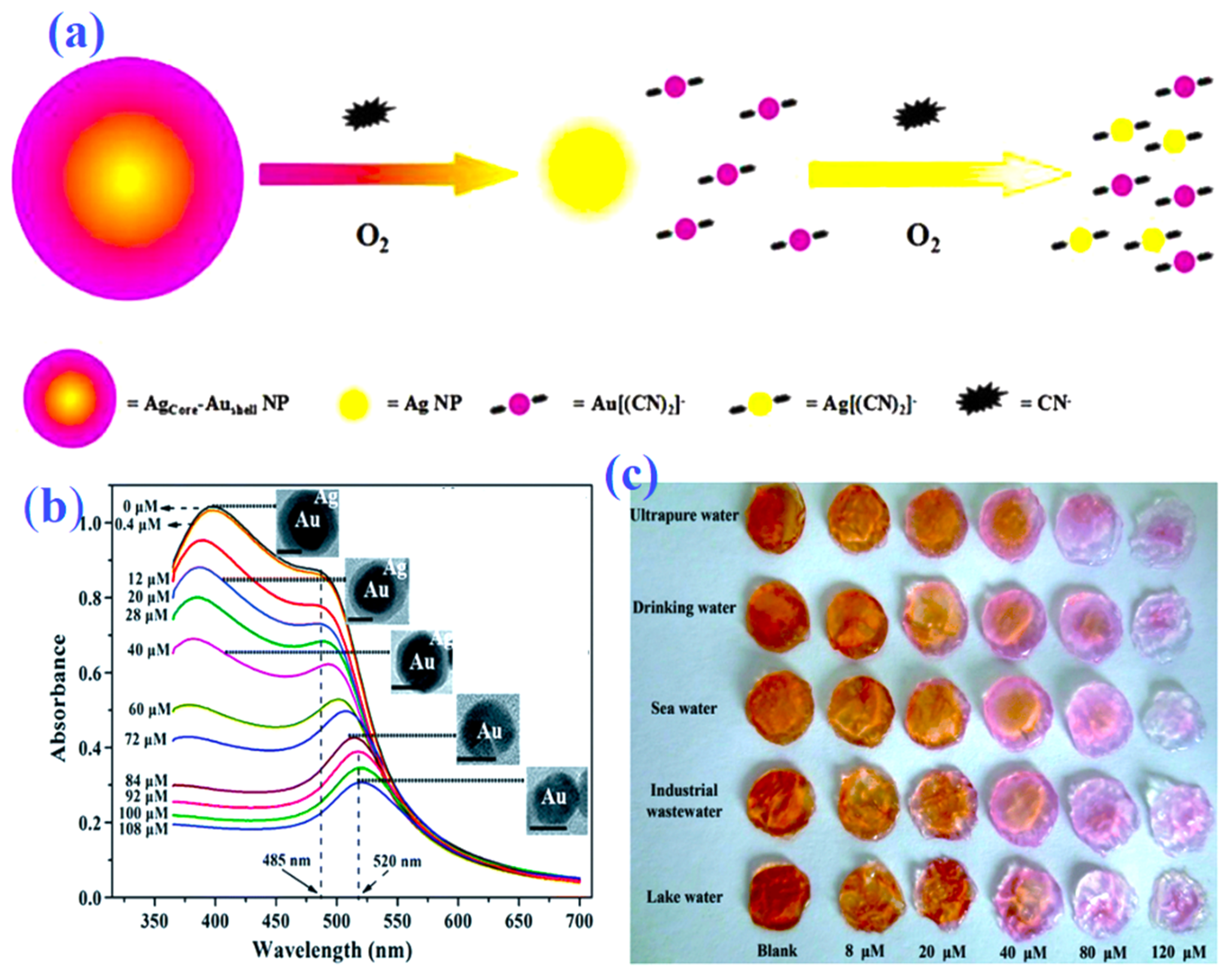 Nanomaterials 13 00290 g004 Nanomaterials 13 00290 g004