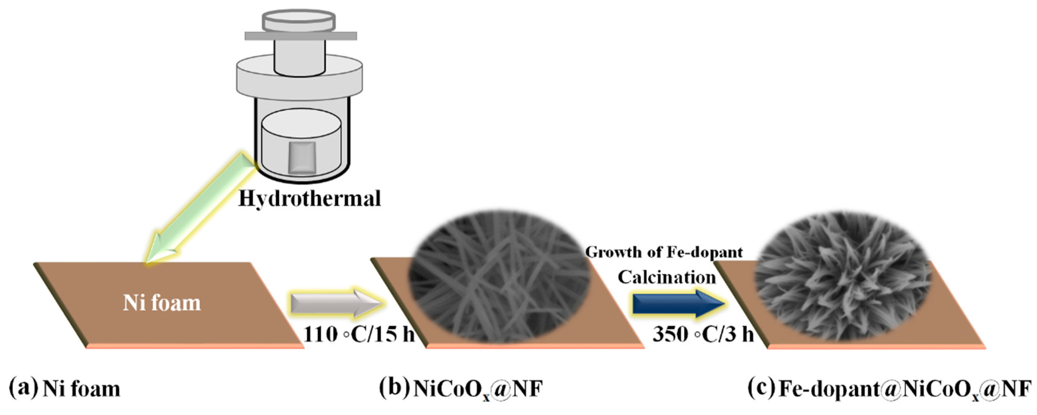 Nanomaterials 13 00292 g001