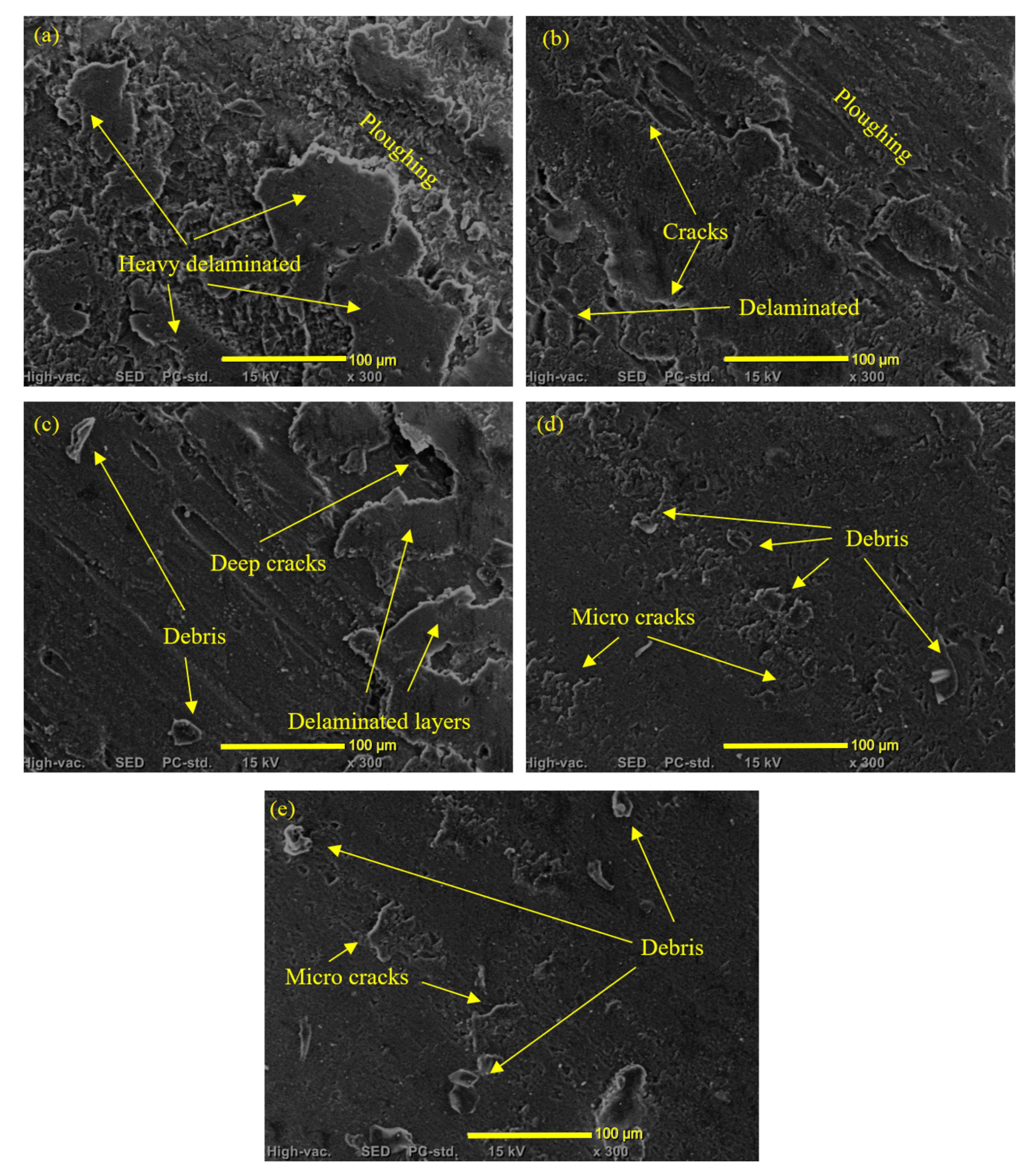 Nanomaterials 13 00294 g010
