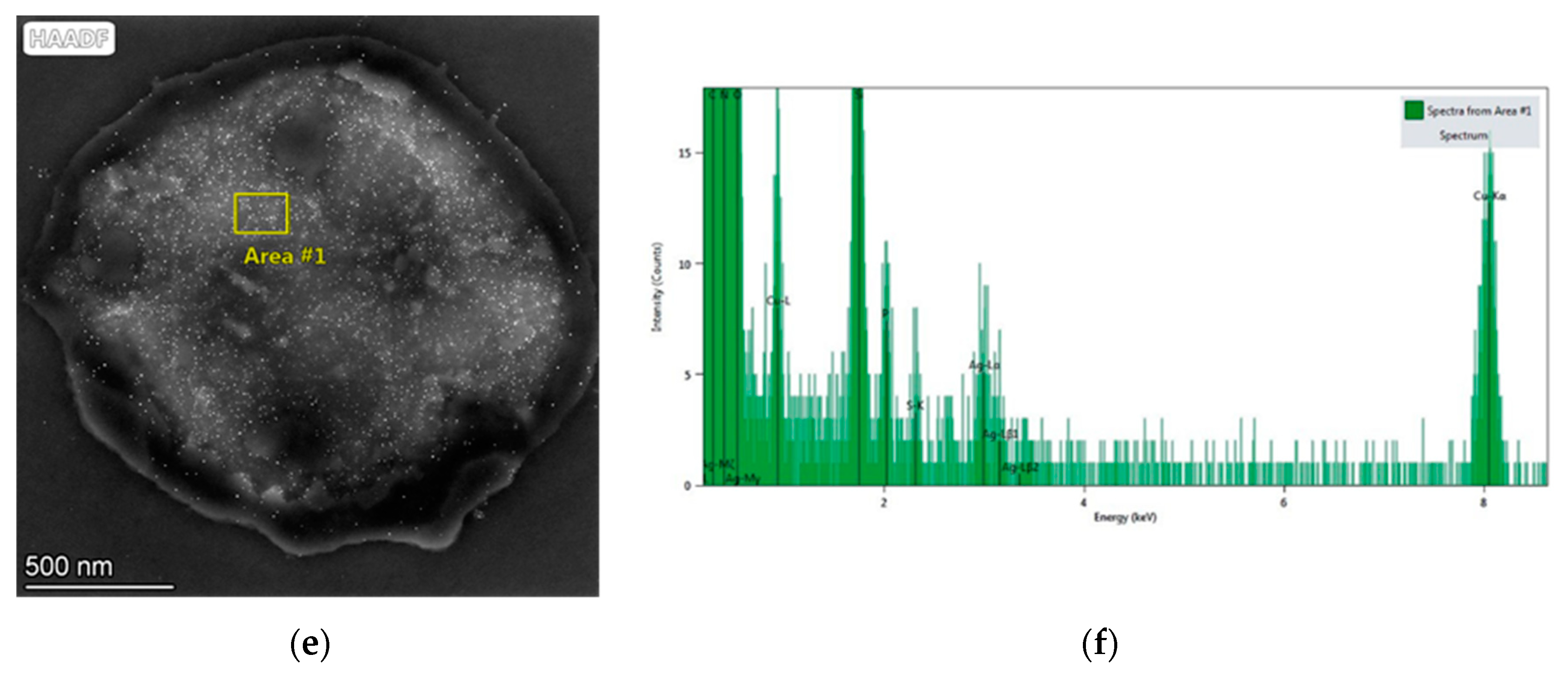 Nanomaterials 13 00295 g005b