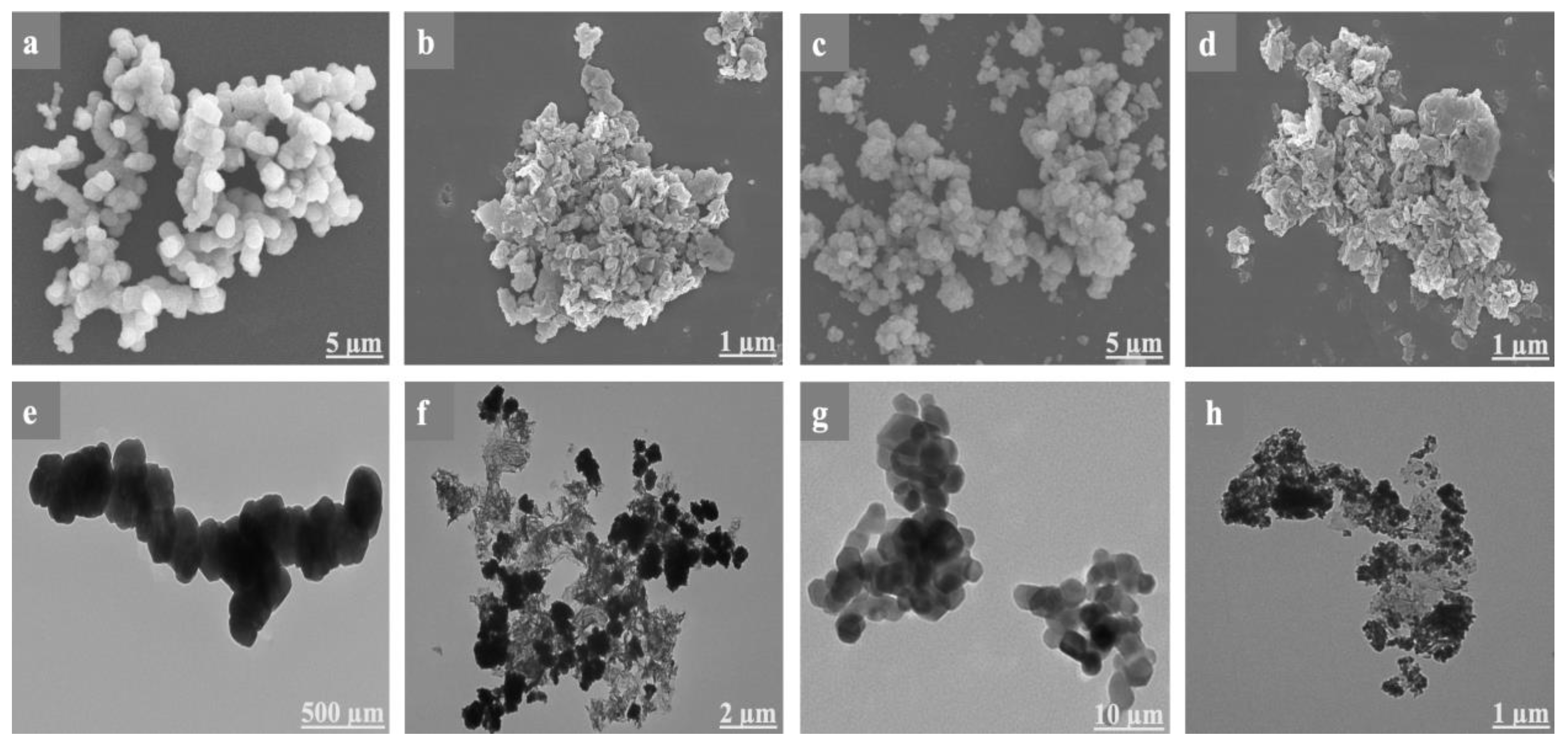 Nanomaterials 13 00296 g004