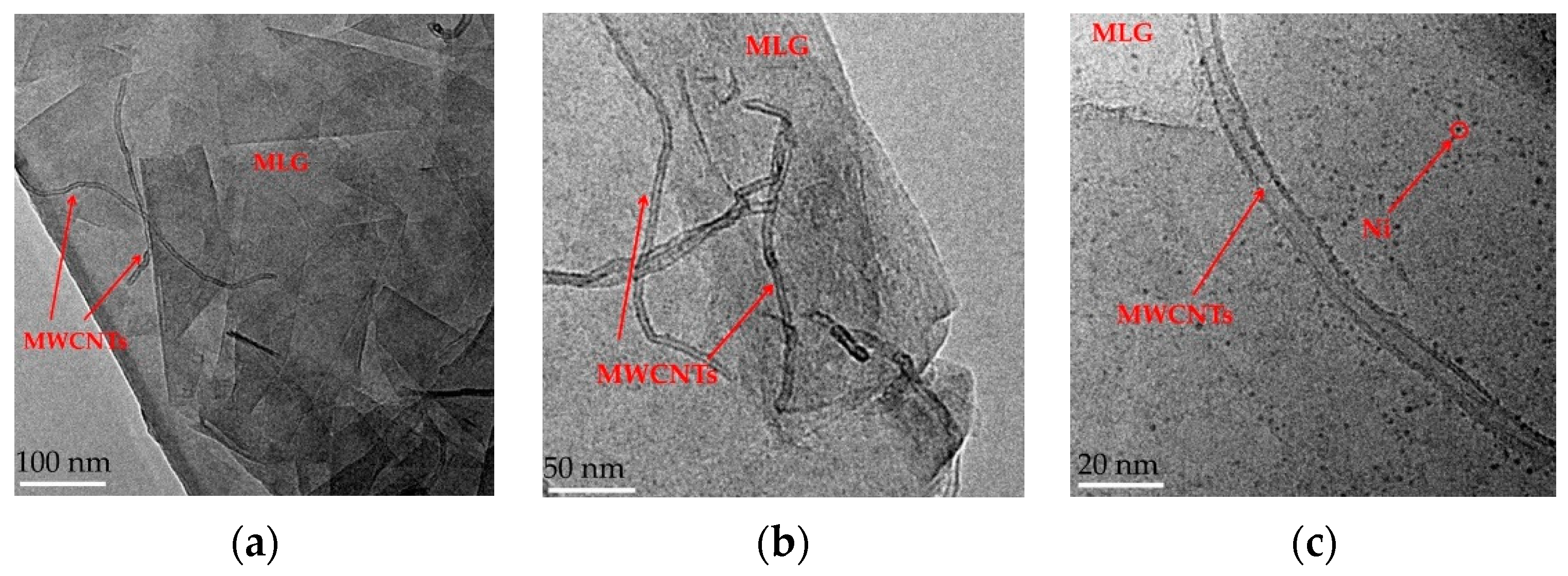 Nanomaterials 13 00298 g002