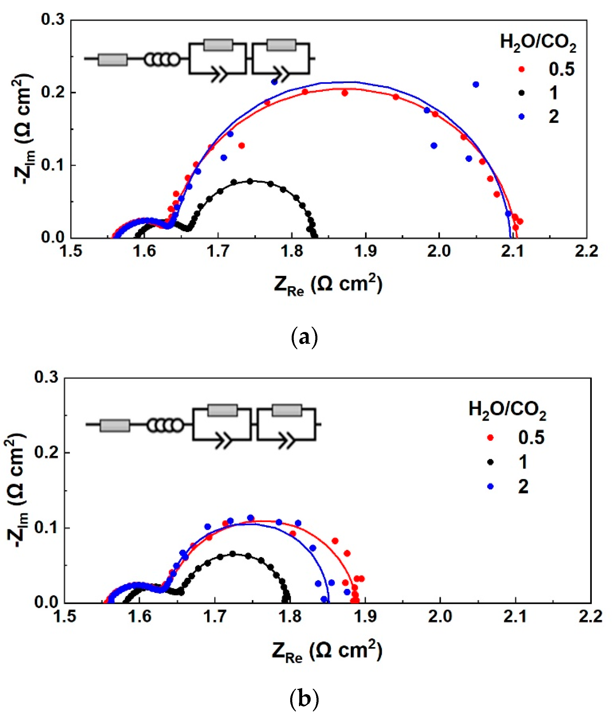 Nanomaterials 13 00299 g002