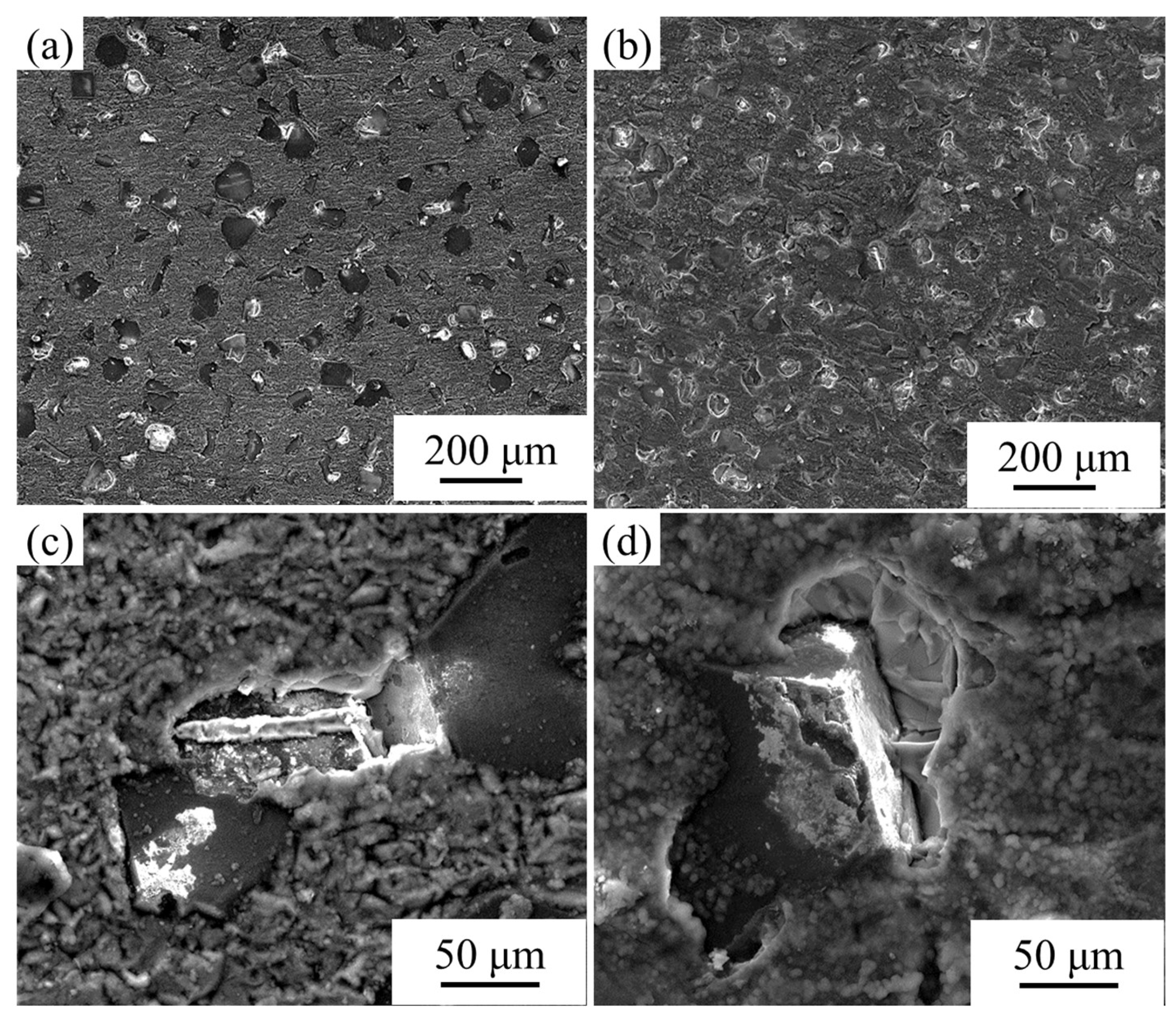 Nanomaterials 13 00307 g006