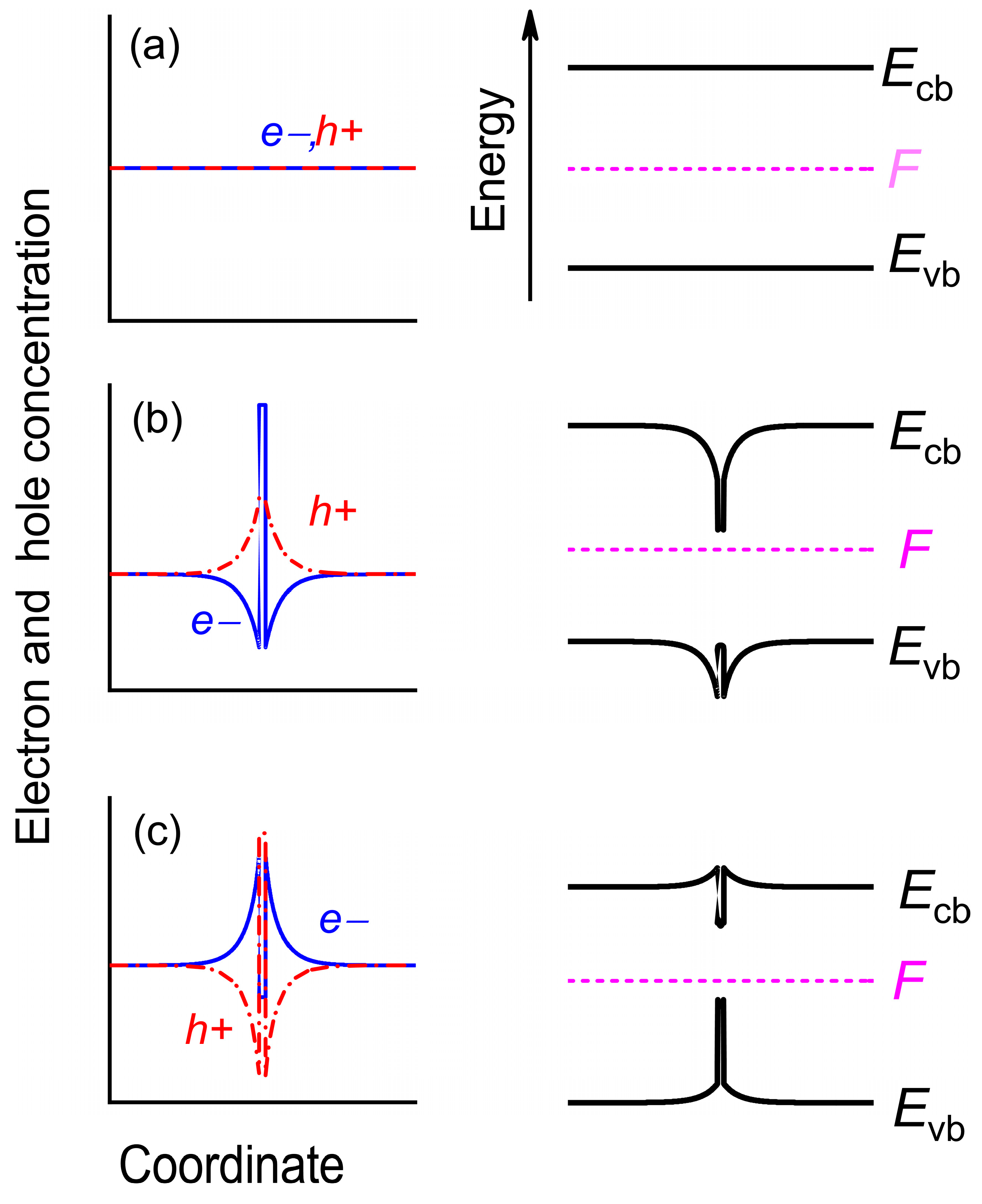 Nanomaterials 13 00308 g005