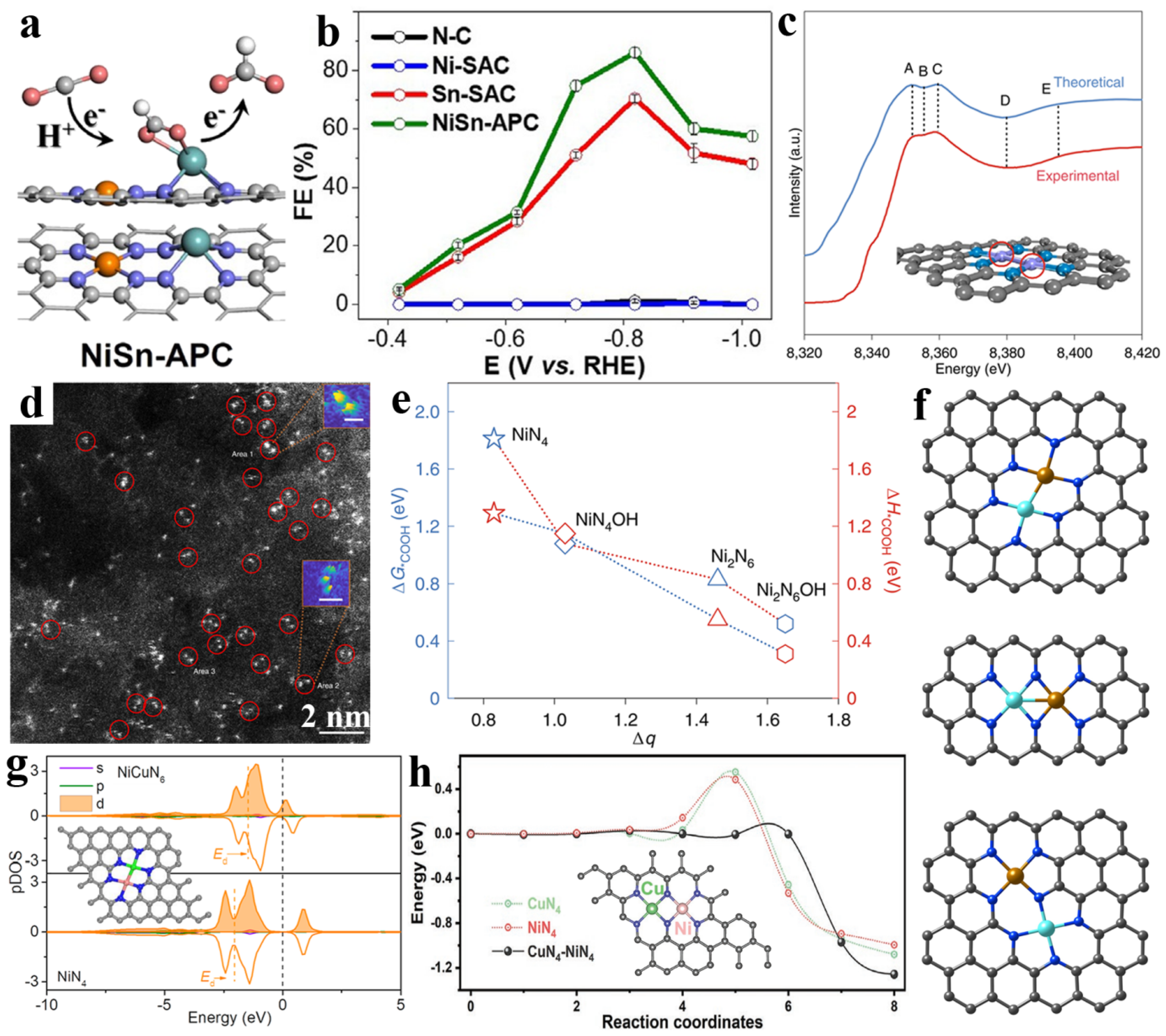 Nanomaterials 13 00309 g007