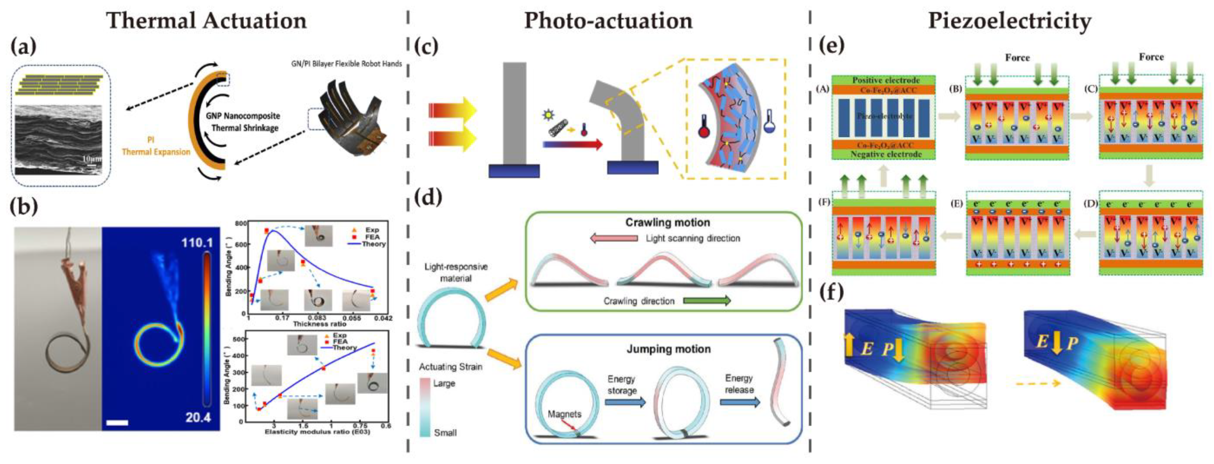 Nanomaterials 13 00316 g004