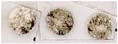 Nanomaterials 13 00317 i015