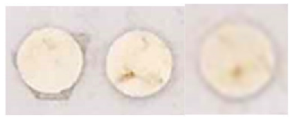 Nanomaterials 13 00317 i019