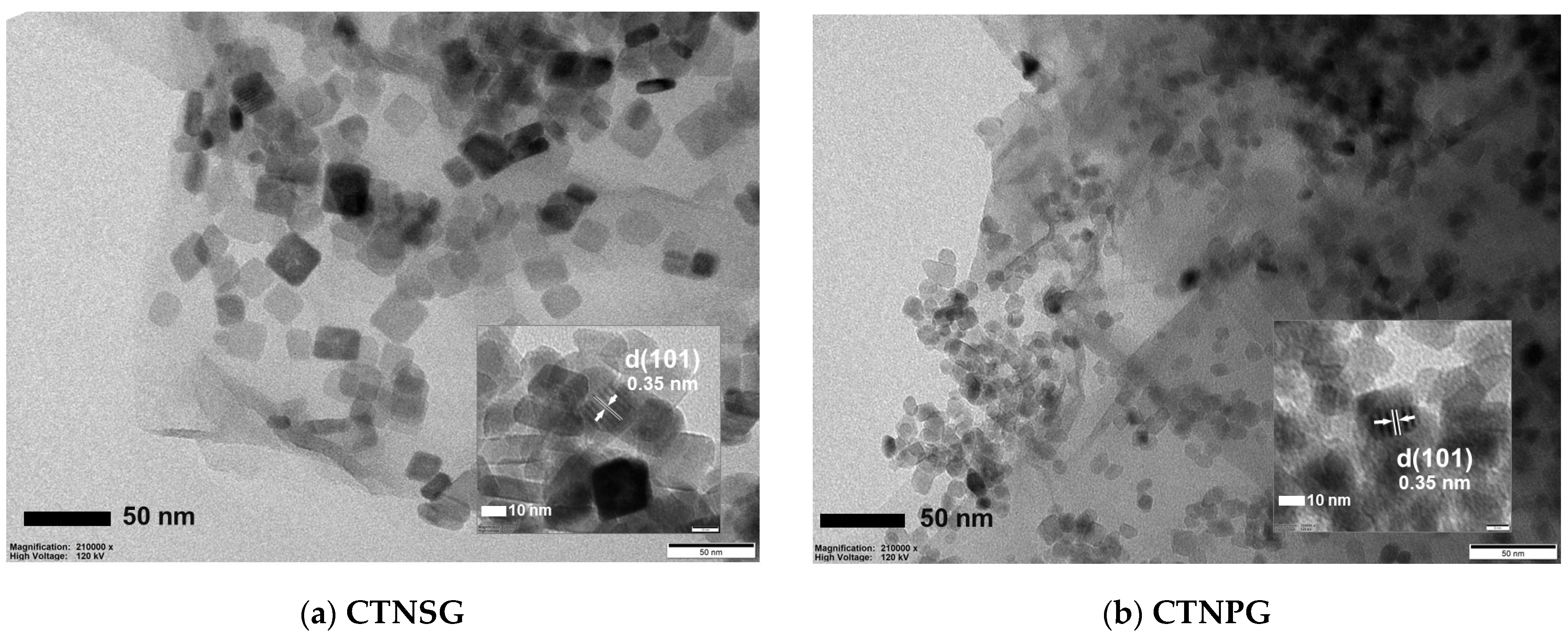 Nanomaterials 13 00320 g002