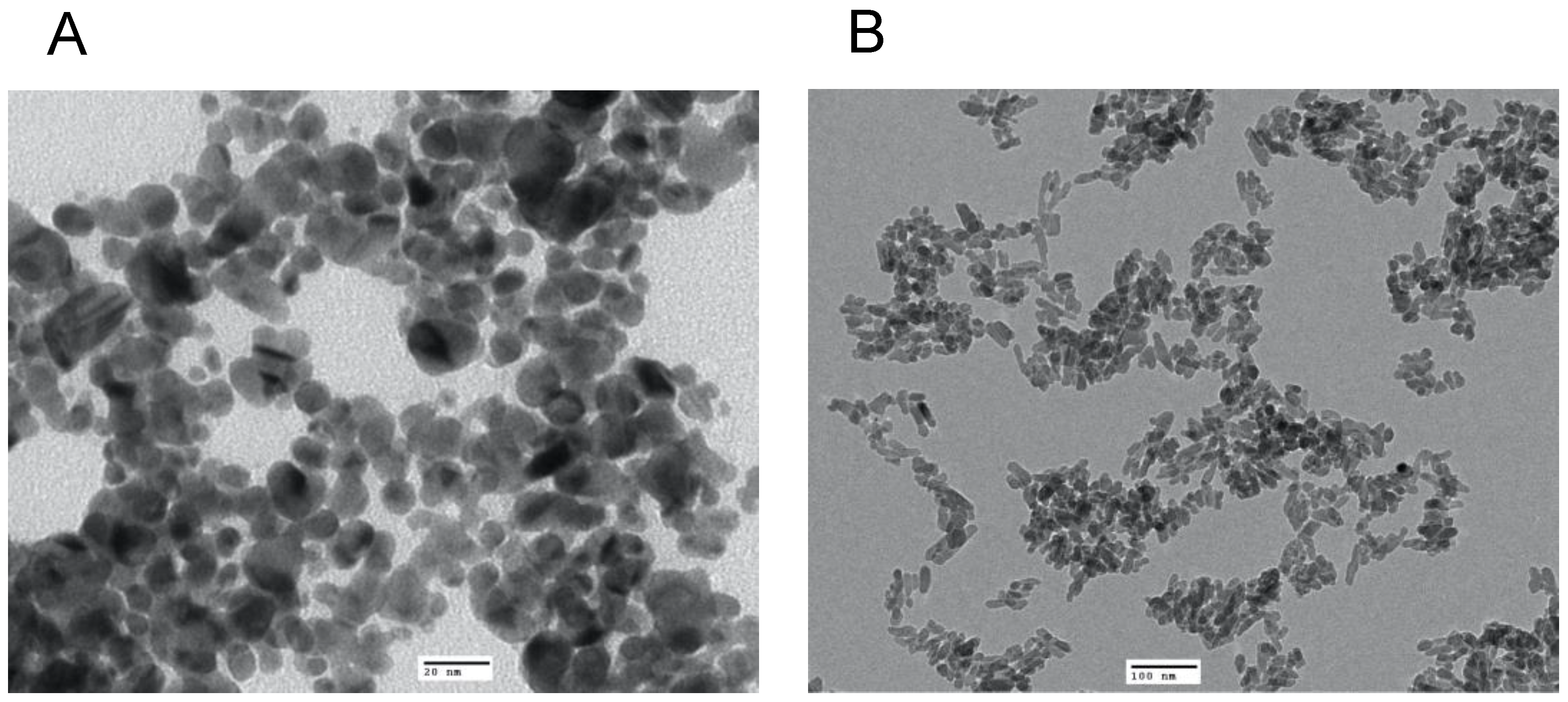 Nanomaterials 13 00321 g001