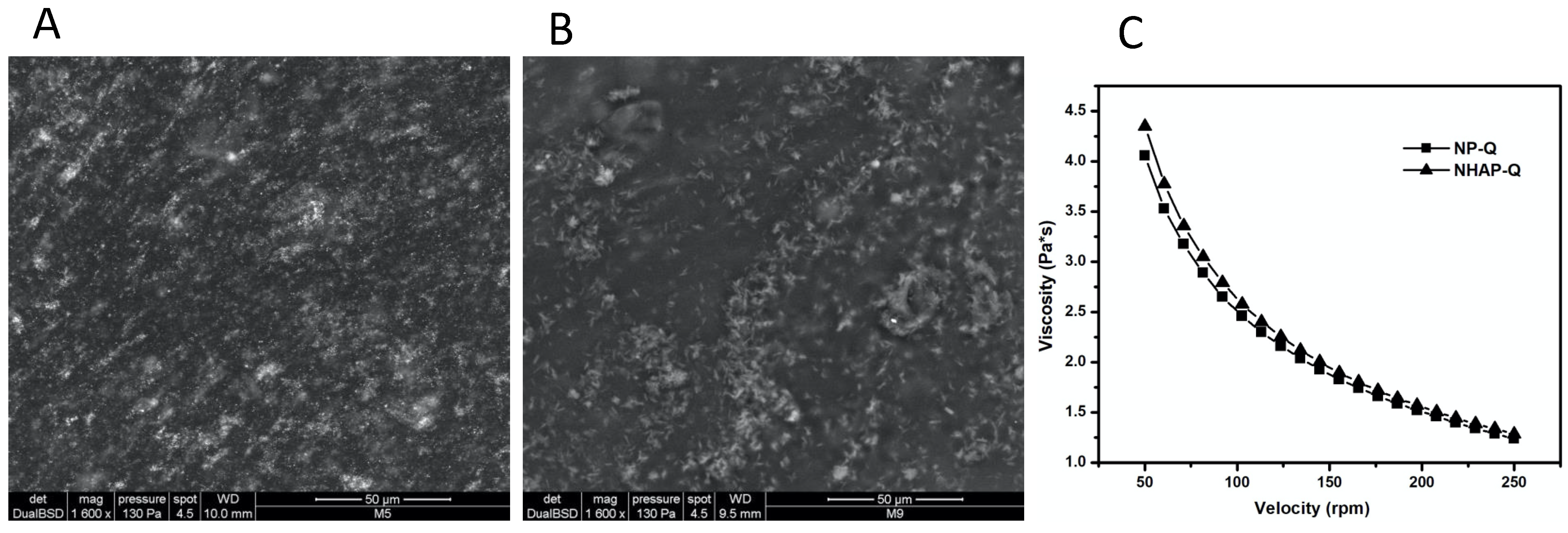 Nanomaterials 13 00321 g003