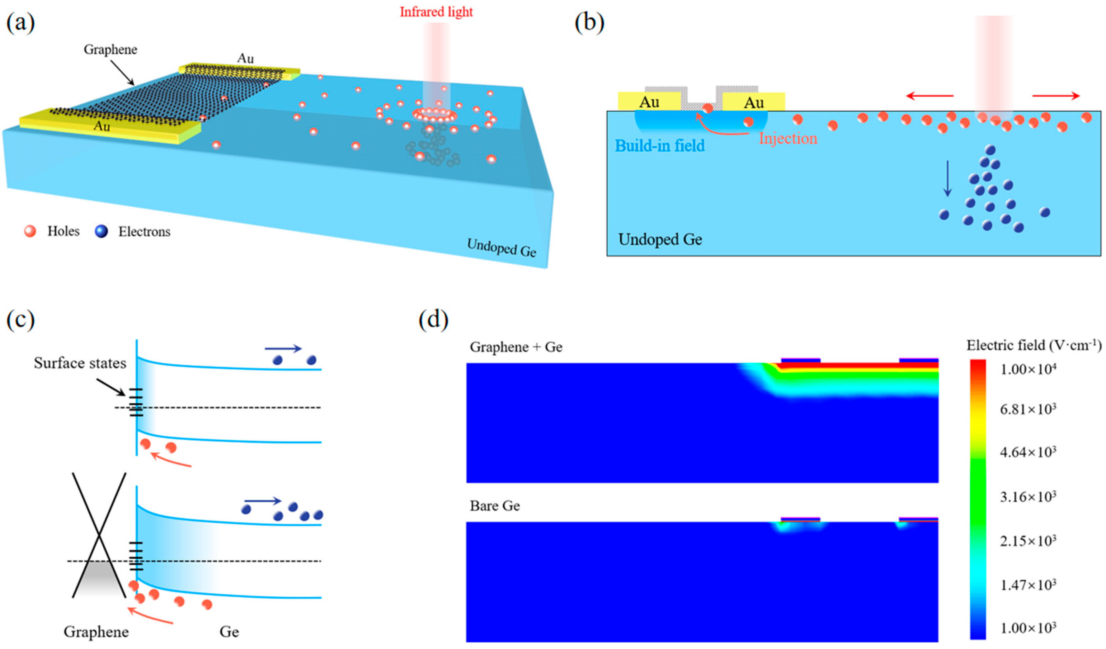 Nanomaterials 13 00322 g001