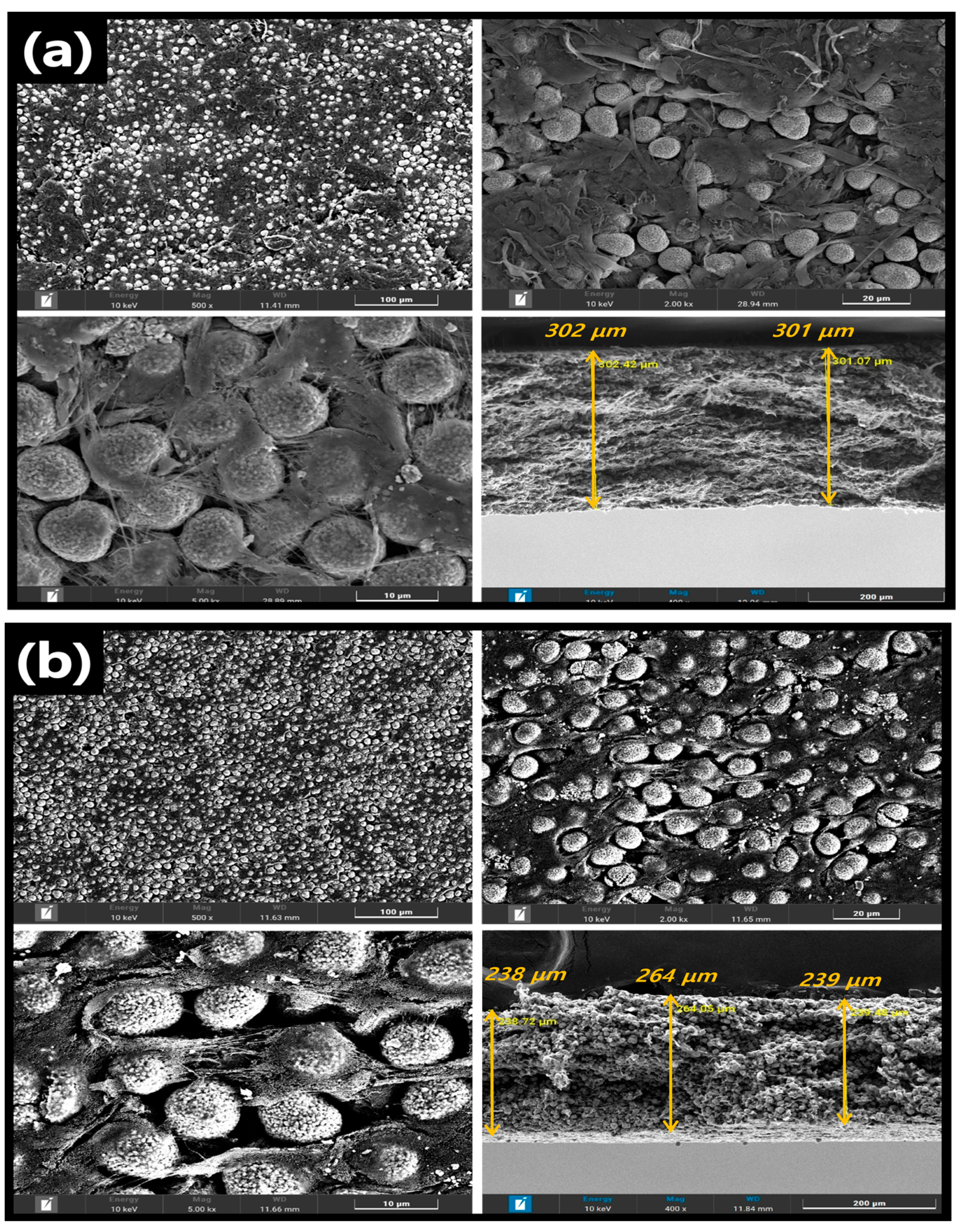 Nanomaterials 13 00324 g002