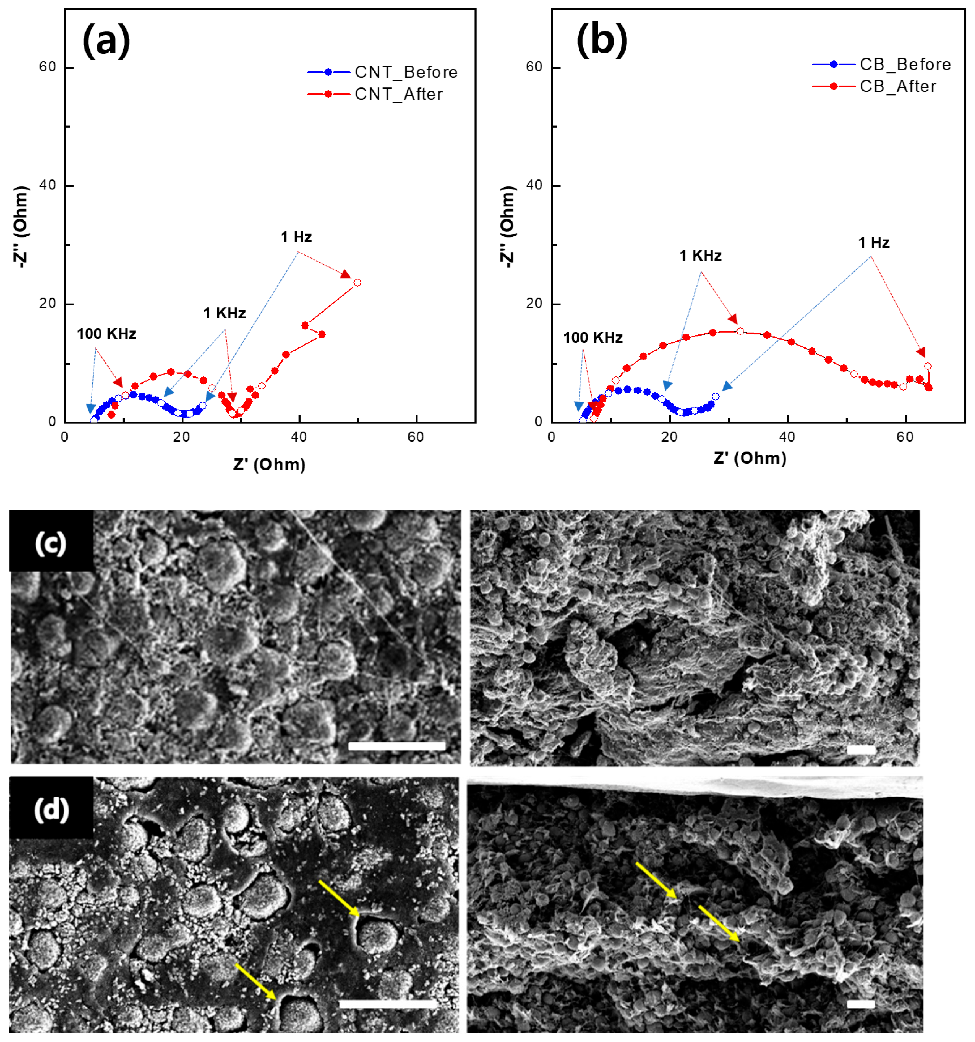 Nanomaterials 13 00324 g005
