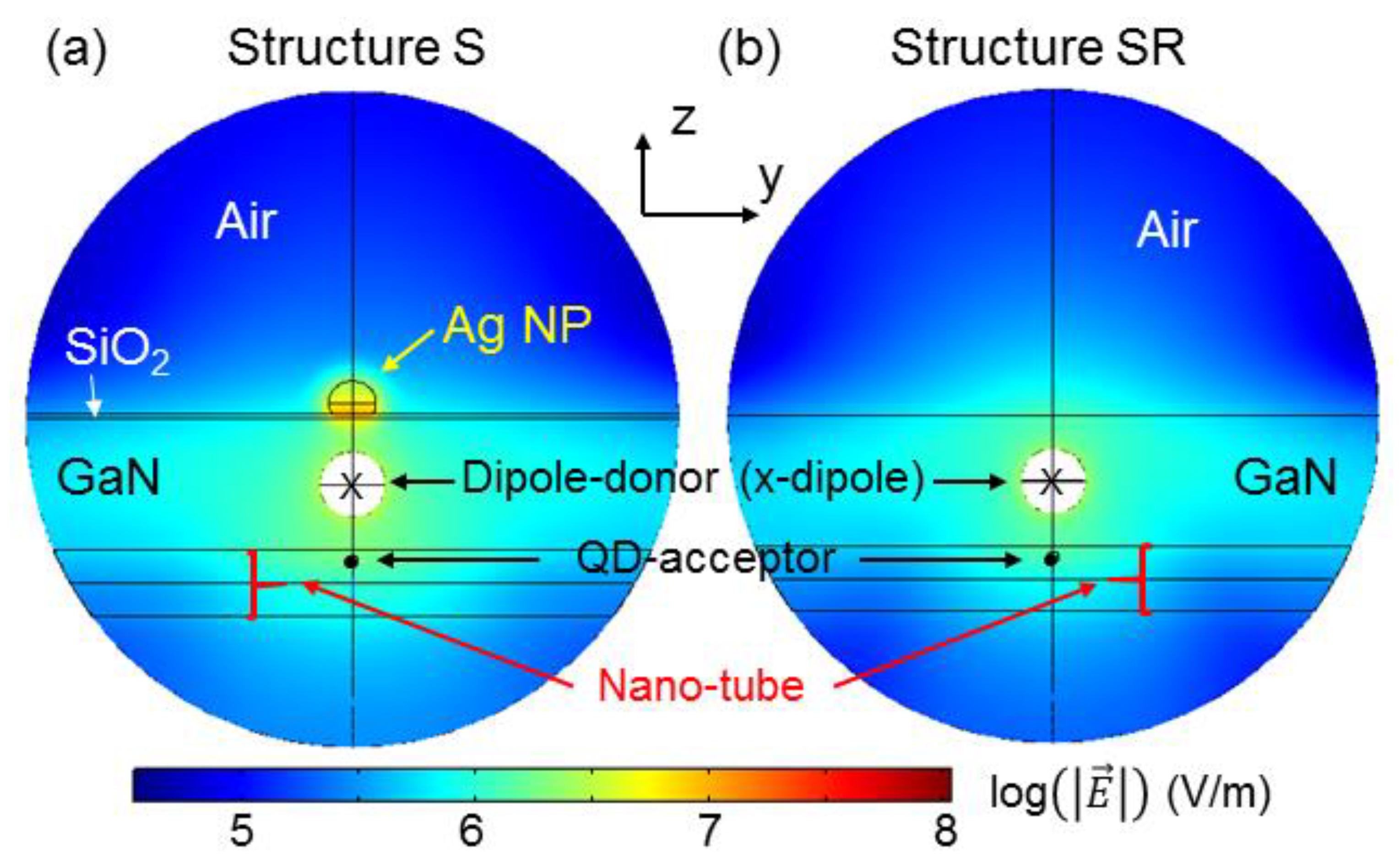 Nanomaterials 13 00328 g010