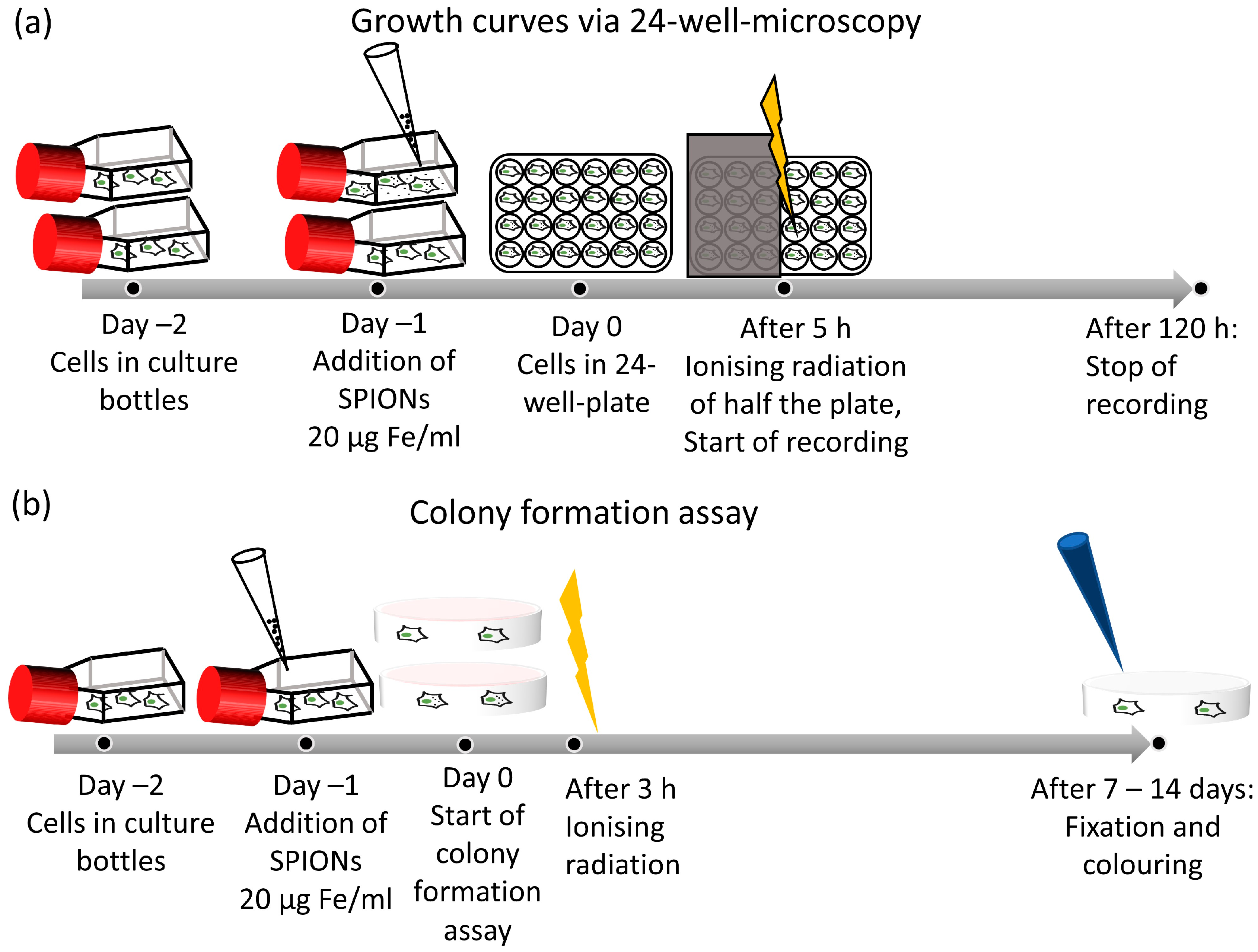 Nanomaterials 13 00330 g002