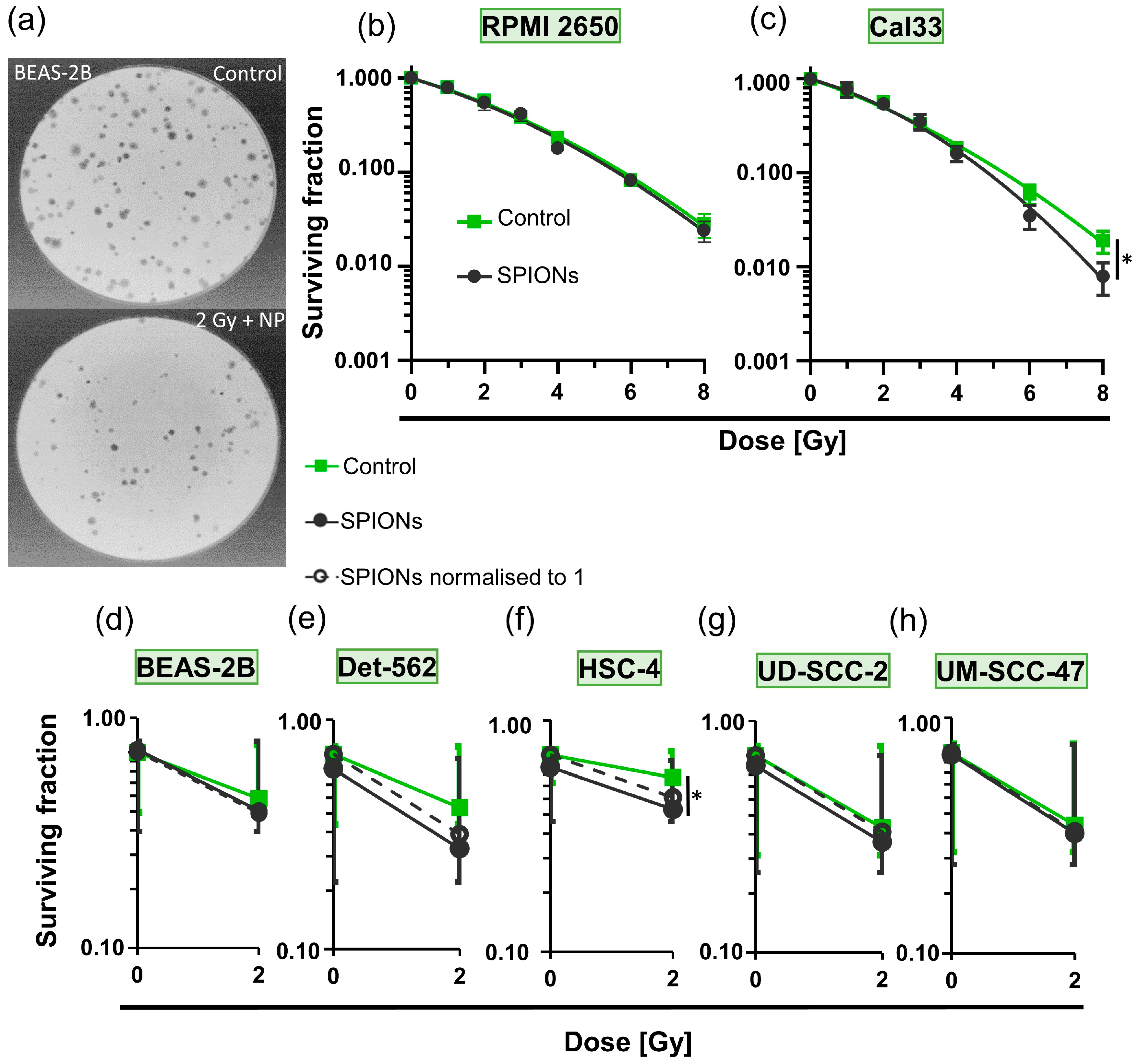 Nanomaterials 13 00330 g005