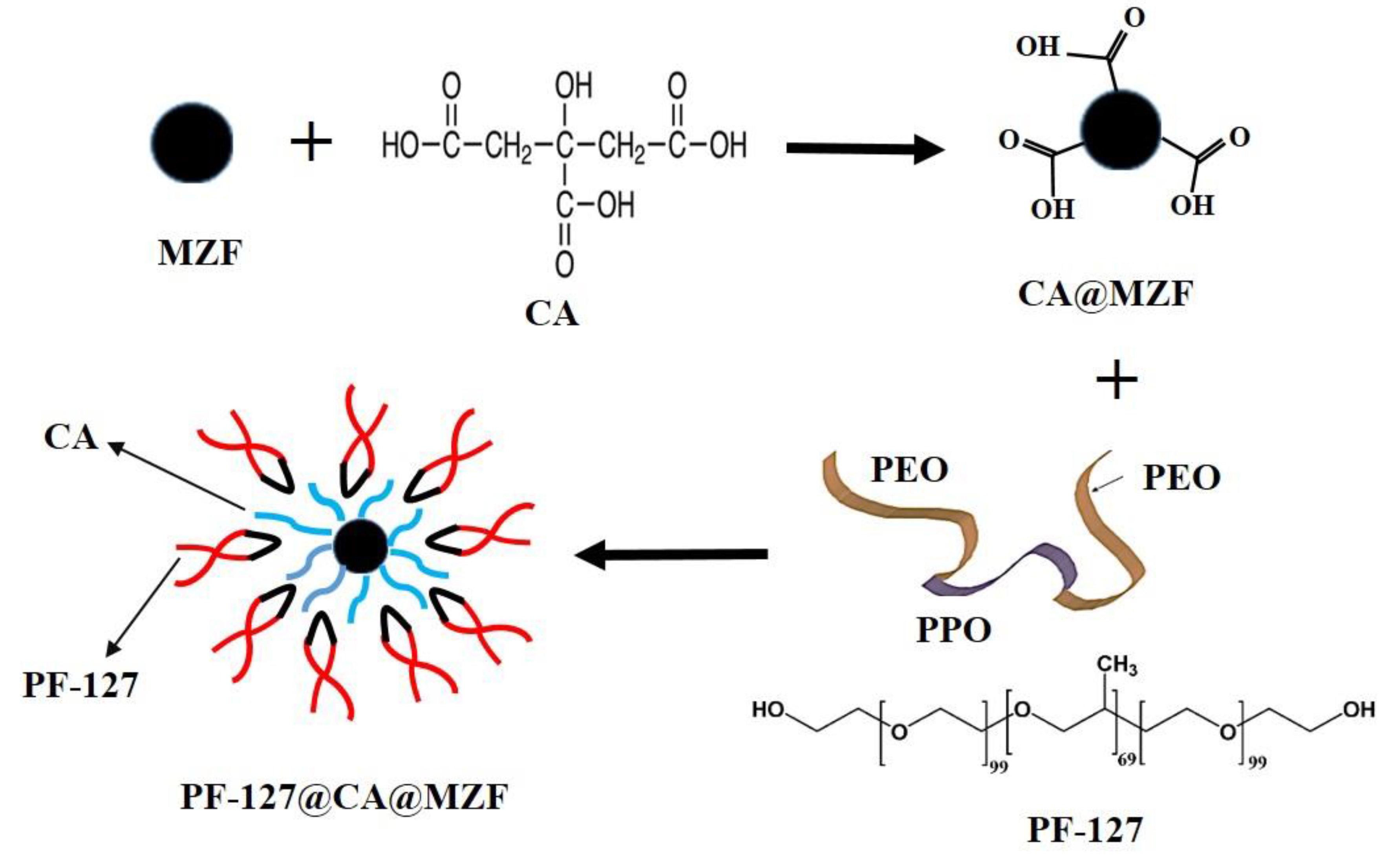 Nanomaterials 13 00331 g001