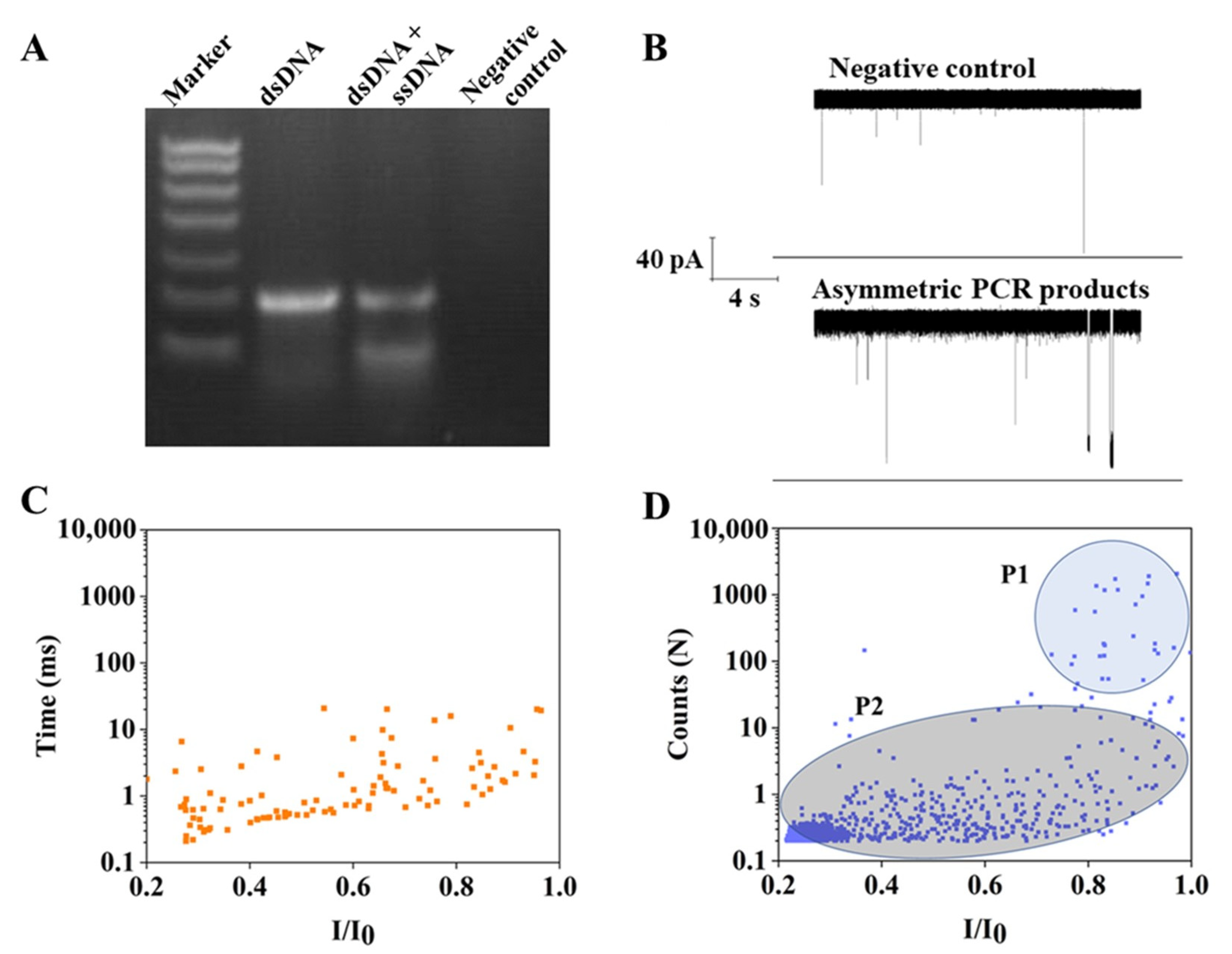 Nanomaterials 13 00332 g001