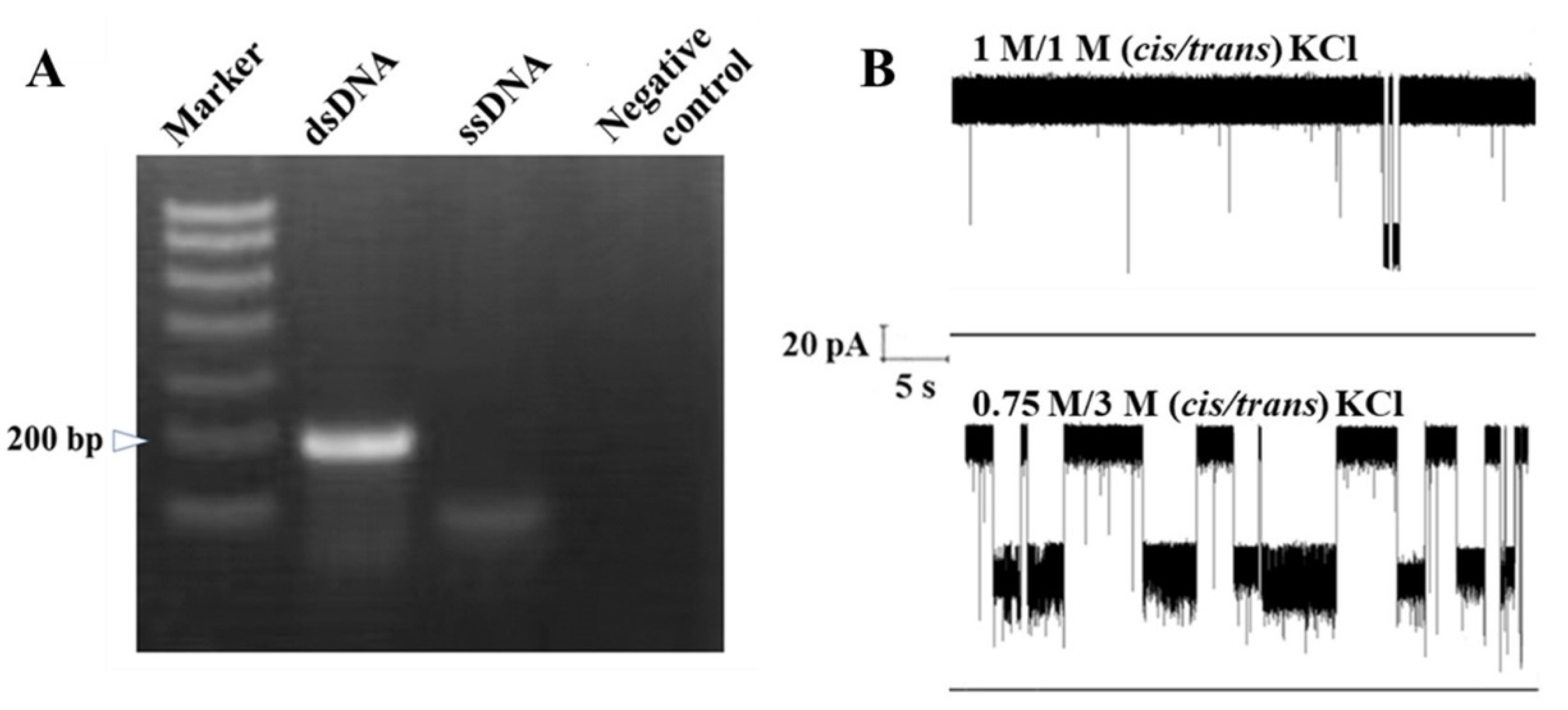 Nanomaterials 13 00332 g002