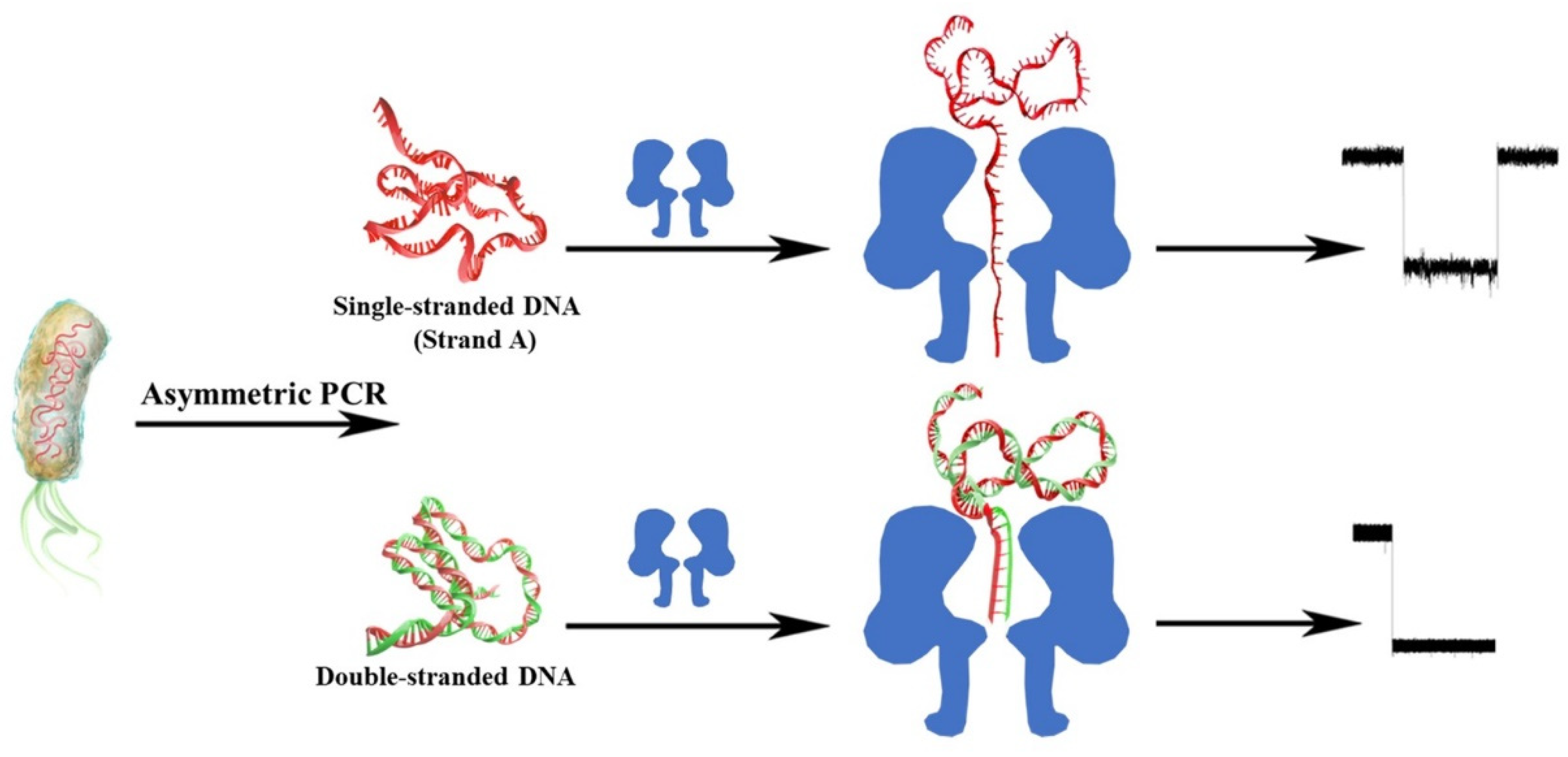 Nanomaterials 13 00332 sch001