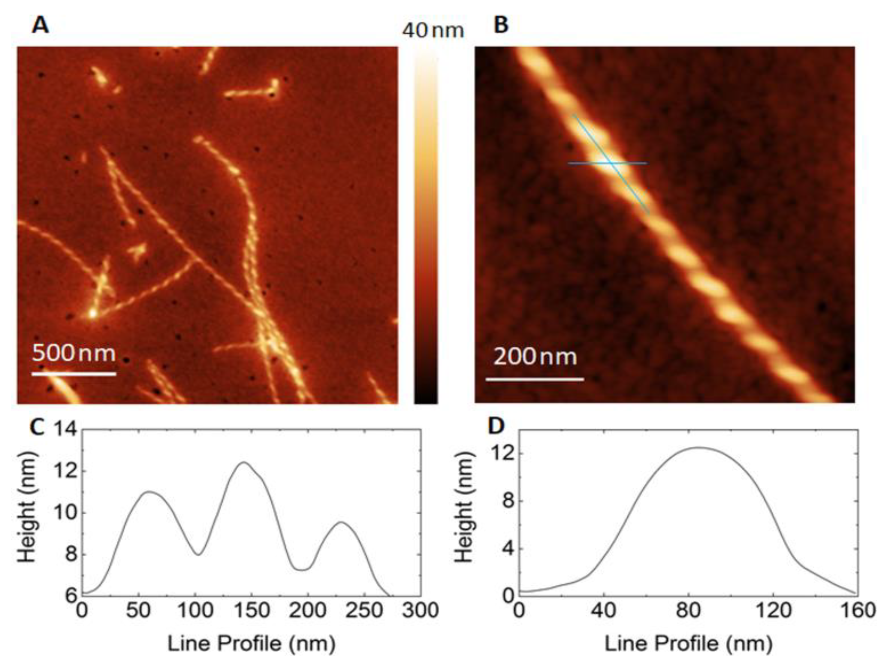 Nanomaterials 13 00333 g007