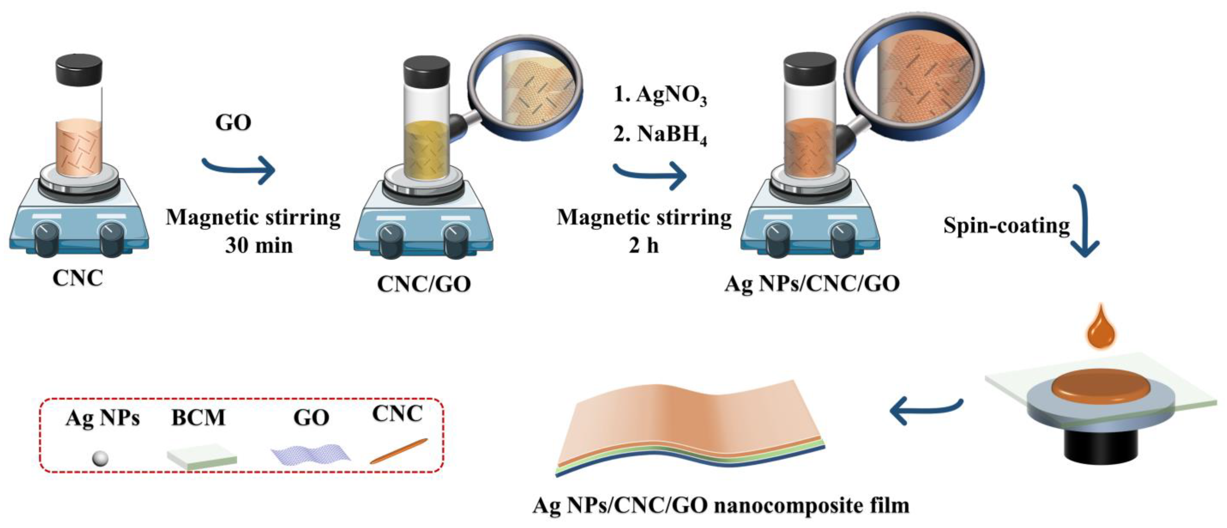 Nanomaterials 13 00334 g001