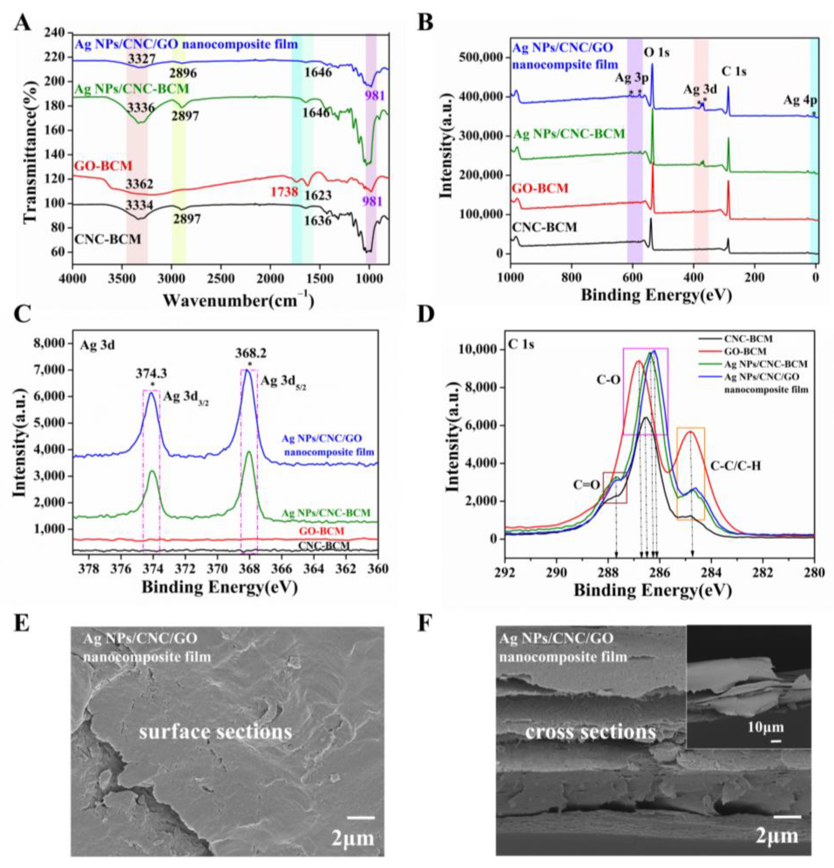 Nanomaterials 13 00334 g003